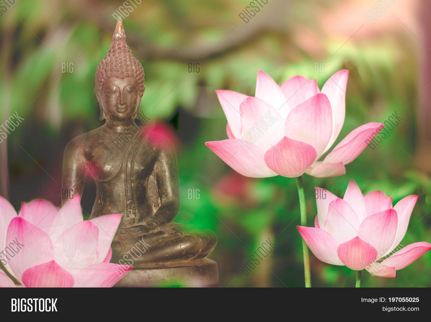 amulets,art,asia,asian,background,bloom,blossom,buddah,buddha,buddhism,buddhist,budha,culture,day,decorative,design,face,faith,flower,gold,green,hand,image,isolated,leaf,leaves,light,lotus,meditating,meditation,old,oriental,ornament,peace,pink,plant,prayer,religion,religious,rusty,sculpture,sign,statue,stone,symbol,thai,thailand,traditional,wesak