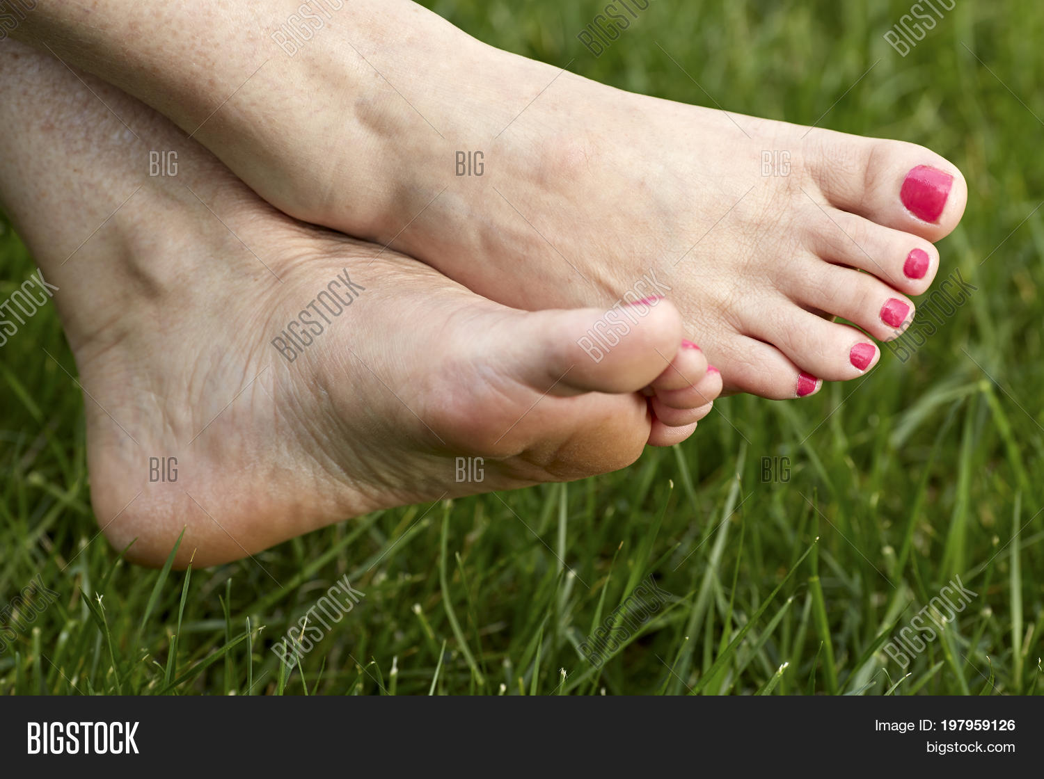 ache,achilles,ankle,bare,barefoot,body,care,clean,feet,female,foot,footcare,grass,heel,human,leg,lifestyle,massage,nail,parts,pedicure,pink,podiatry,polish,relaxation,scrub,skin,smooth,soft,sole,sore,tender,tired,toe,toenail,treatment,wellness,woman
