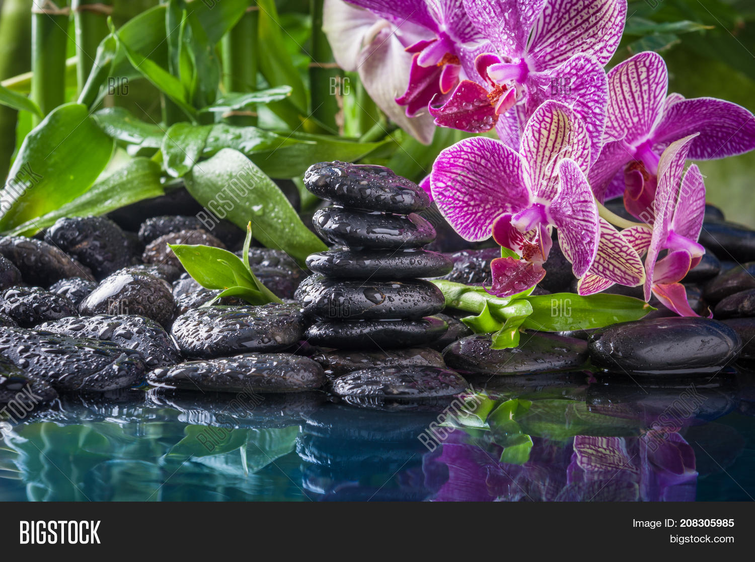 alternative,aroma,aromatherapy,asian,ayurveda,background,balance,bamboo,beauty,black,boulder,buddhism,care,closeup,concept,detail,dew,drops,fengshui,flower,garden,green,group,handful,healthy,heap,japanese,leaf,massage,medicine,orchid,pebble,plant,relax,rock,row,spa,sprout,stability,stone,symbol,therapy,treatment,water,wellbeing,wellness,zen,zen-like