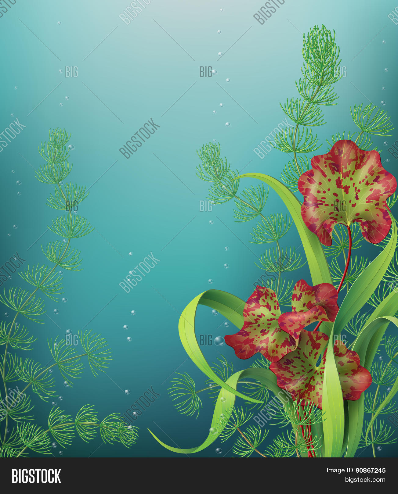 Underwater Background With Sea Plants 90867245 Image Stock