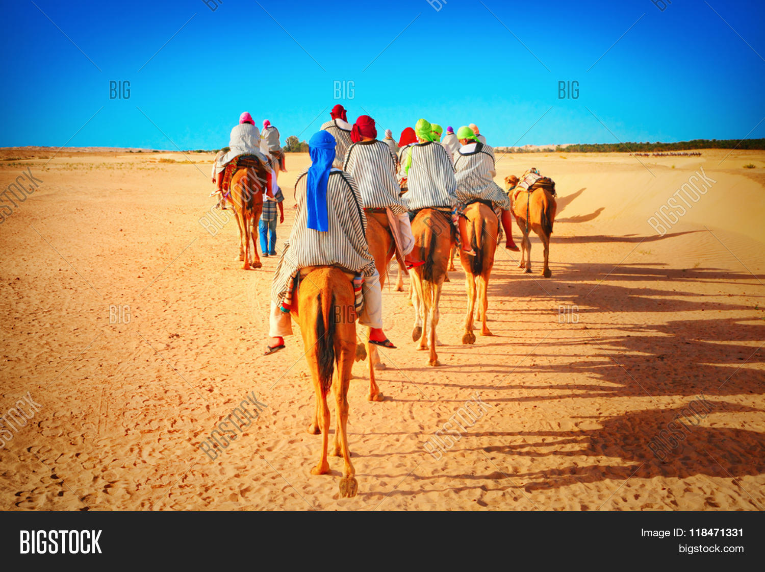 africa,animal,arab,arabian,berber,camel,camelback,camelcade,cameleer,caravan,day,desert,dromedary,dune,east,erg,exterior,extreme,heat,human,landscape,many,nature,nomadic,outdoor,outside,people,rural,safari,sahara,sand,scenic,silhouette,sky,skyline,summer,sun,sunrise,sunset,tourism,tourist,traditional,transport,travel,trip,tunisia,vacations,walk,wave,wildlife