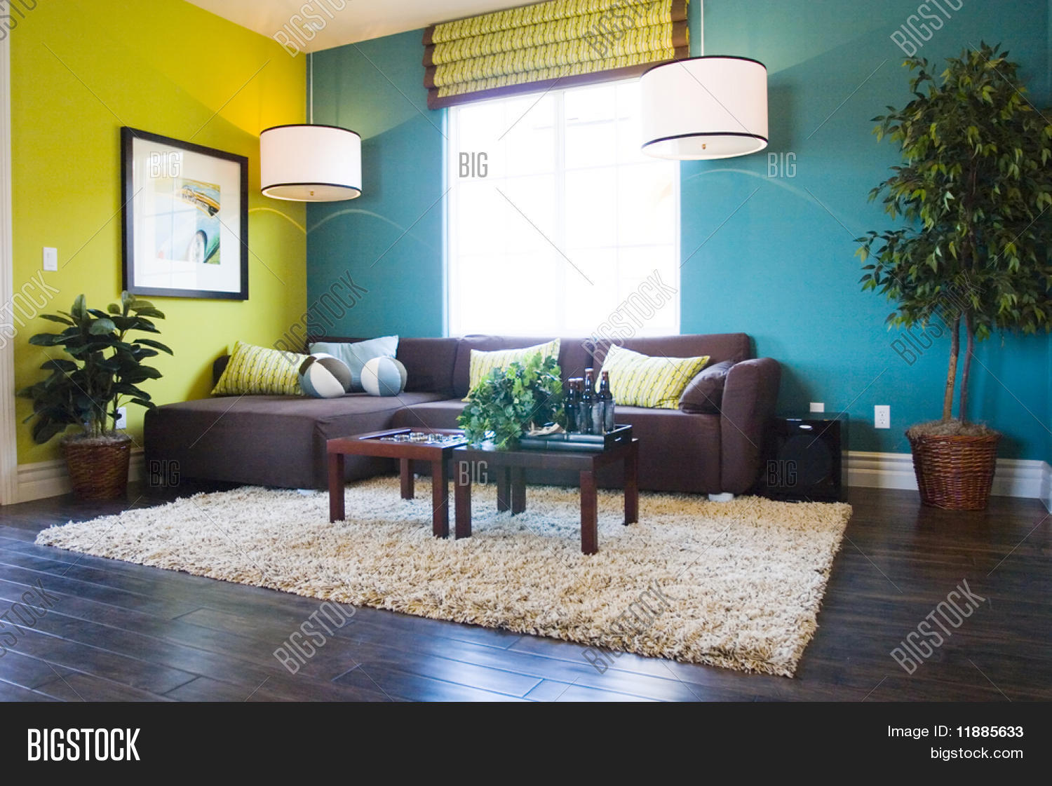 Modern Casual Living Room 11885633 Image Stock Photo