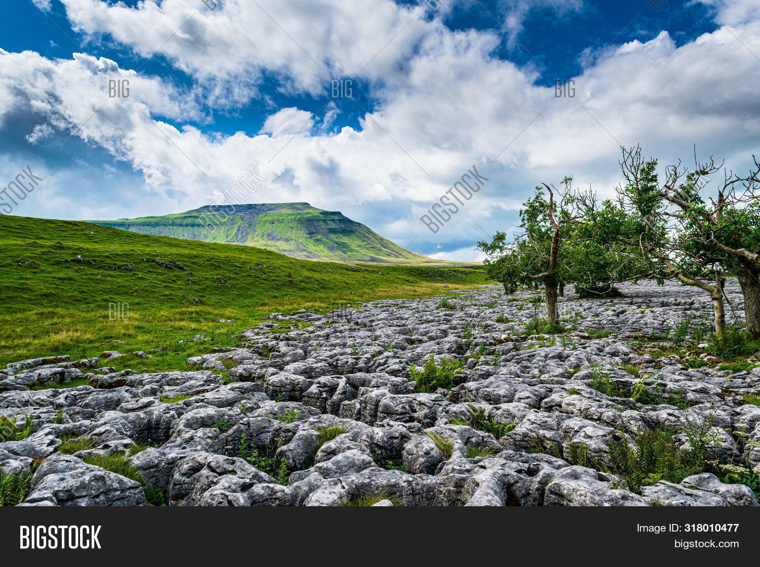 Ingleborough,beautiful,beauty,boulders,british,clints,close,countryside,dales,environment,fell,footpath,grikes,hiking,hill,hillside,ingleton,landscape,limestone,long,moors,mountain,nature,north,outdoor,pavement,peak,rocky,rural,scar,scenery,scenic,stone,summer,three,tourism,trail,walking,wild,yorkshire