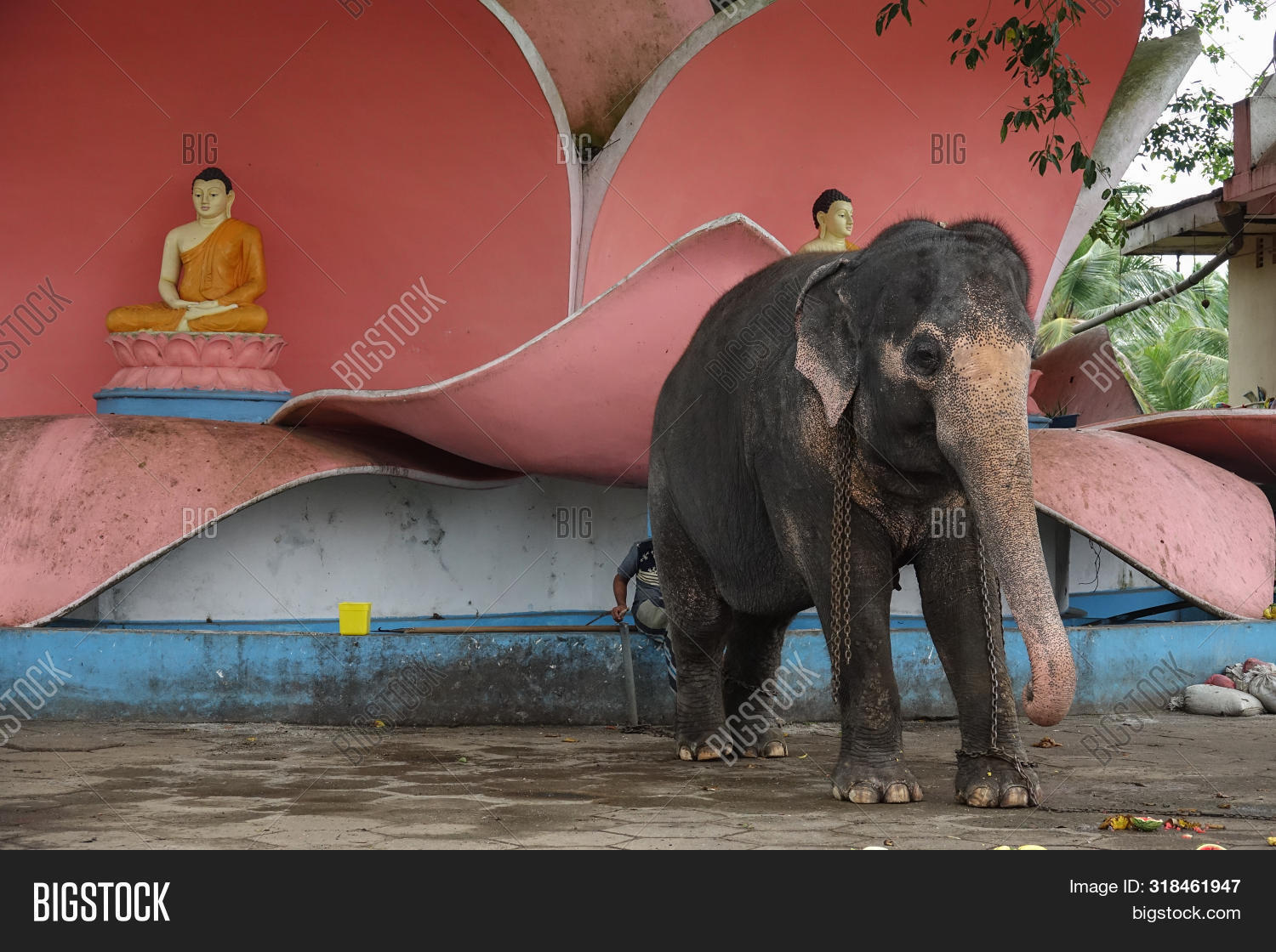 aluthgama,ancient,architecture,art,asia,asian,bentota,beruwala,big,buddha,buddhism,buddhist,building,ceylon,culture,editorial,elephant,exterior,handrail,heritage,historical,history,kande,landmark,lanka,lankan,old,religion,sculpture,sri,srilanka,statue,stone,temple,tourism,tourist,travel,vihara,viharaya,worship