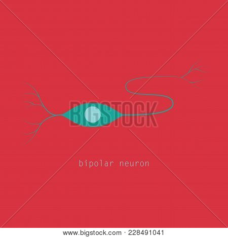 Structure Of A Motor Neuron, Vector Illustration image & stock photo ...