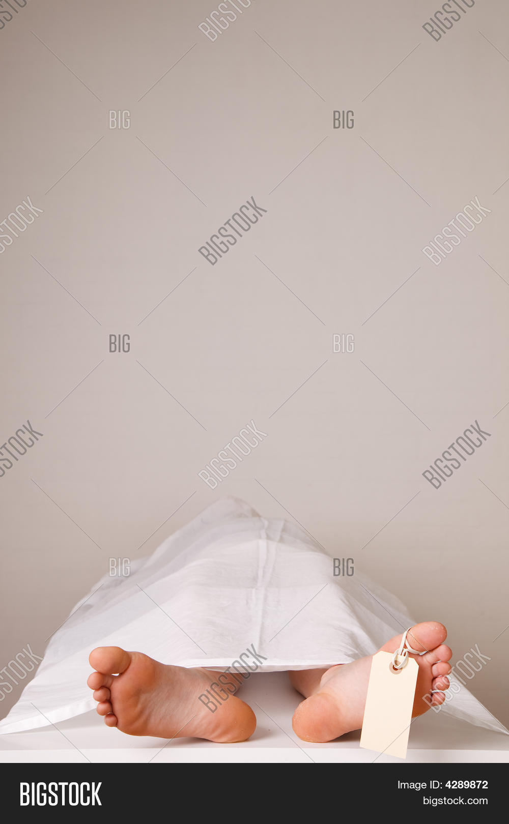 accident,age,autopsy,background,body,boy,burial,caucasian,cold,concept,coroner,corpse,crime,dead,death,end,eternity,farewell,fatal,fate,feet,foot,funeral,god,hospital,human,identity,illness,label,life,male,man,mankind,medicine,metaphor,morgue,murder,old,one,pathologist,person,question,relatives,resurrect,revival,sheet,sign,symbol,tag,toe,victim,white,young