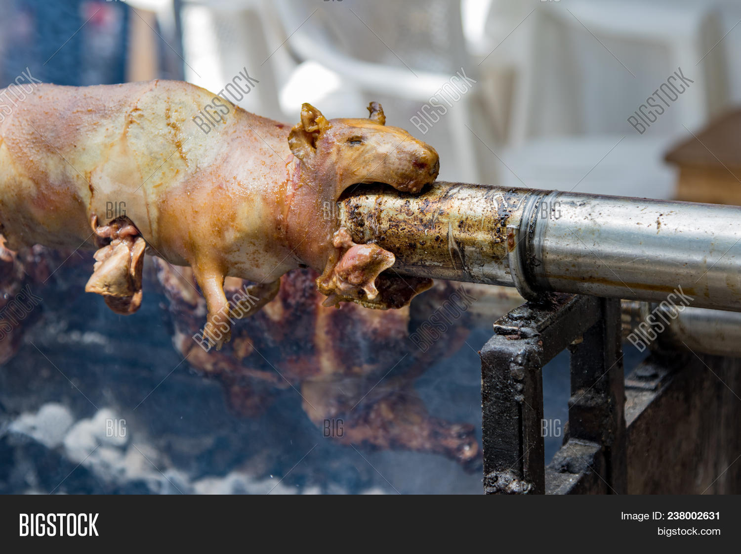 Ecuadorian Cuy Guinea Pig Being Roasted On Spit Image Stock Photo 238002631