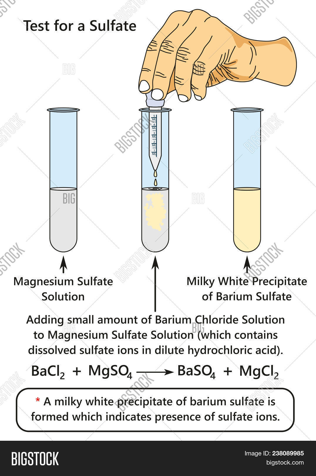 acid,add,balance,barium,base,chemical,chemistry,chloride,compound,concentration,conservator,contaminated,contamination,corrosion,diagram,dilute,dissolved,drop,education,electrolyte,equation,experiment,formation,formula,hydrochloric,illustration,infographic,interaction,ion,ionic,lab,laboratory,magnesium,maintain,milky,nitric,object,observation,practical,precipitate,precipitation,presence,reaction,salt,science,solution,sulfate,test,tube,white