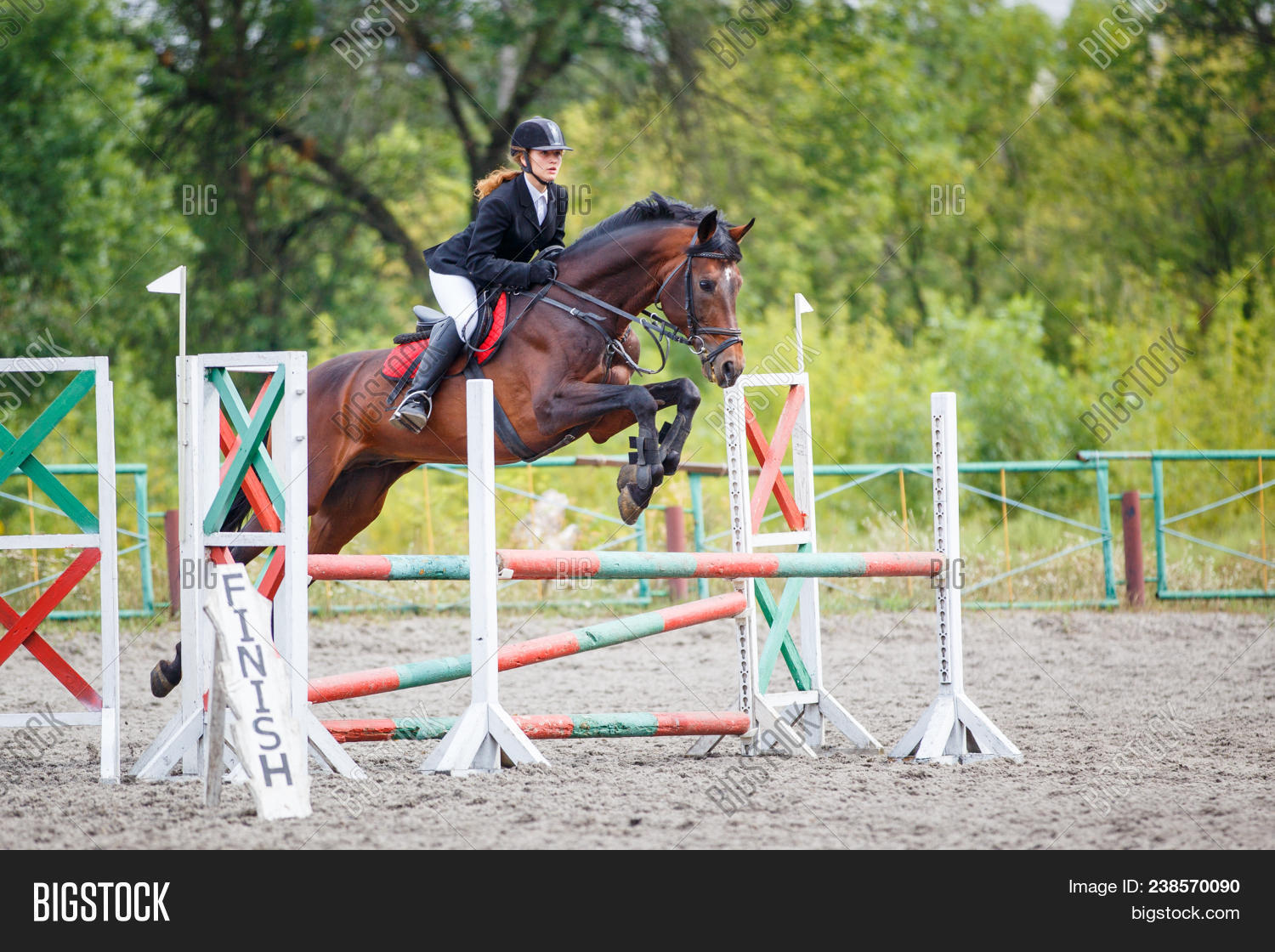 action,active,activities,animal,bay,brown,compete,competition,concentration,contest,course,equestrian,equitation,event,female,fence,girl,high,horse,horseback,hurdle,jockey,jump,jumping,leap,mare,obstacle,outdoors,outside,people,person,ride,rider,riding,show,sport,sportive,stallion,stride,summer,teenager,training,winner,young