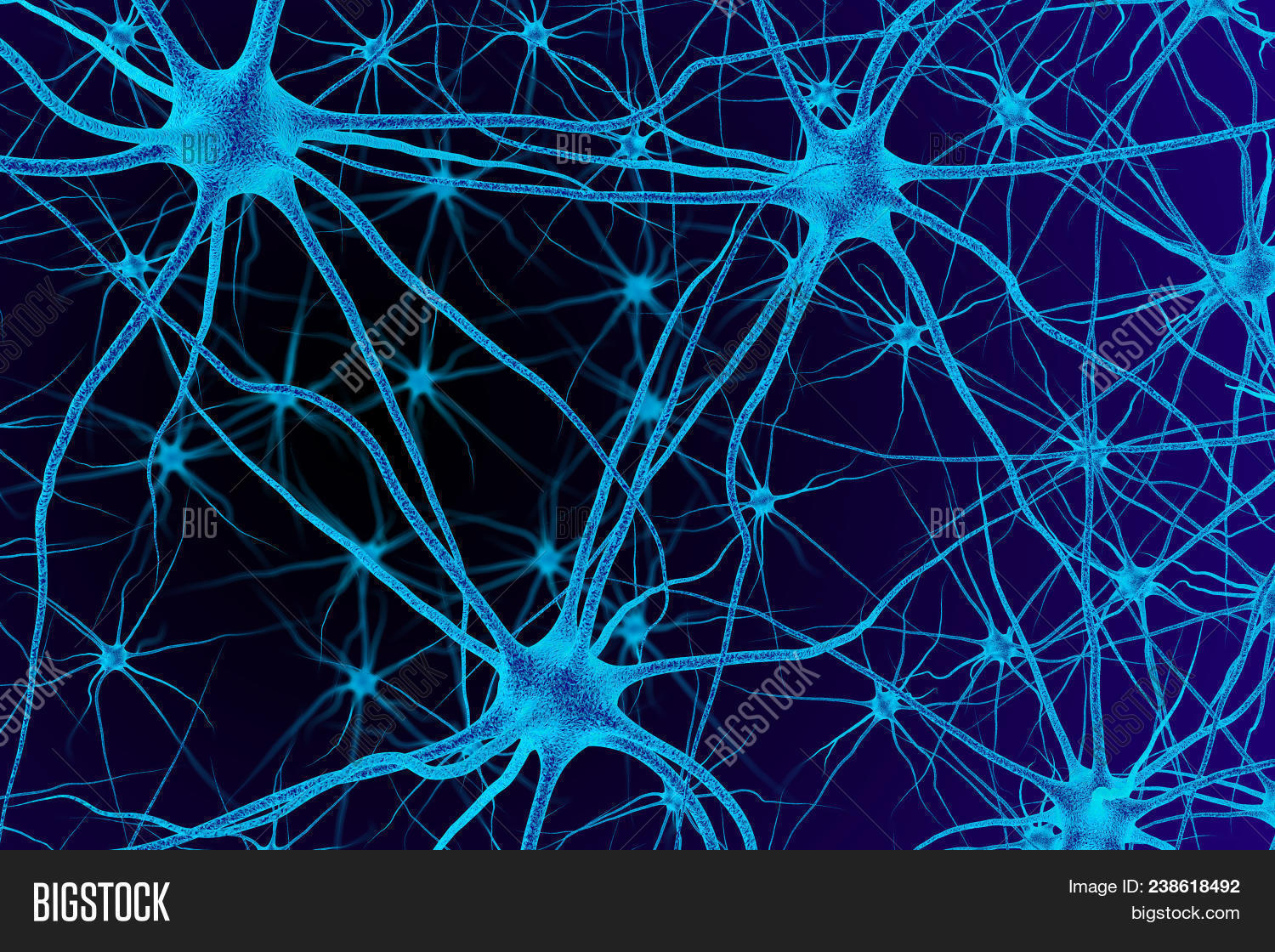 3d,anatomy,axon,bio,biological,biology,body,brain,brainstorm,cell,dendrites,efferent,emotion,encephalon,energy,head,hormon,human,impulse,inside,medical,medicine,mental,micro,microbiology,nerve,network,neural,neuro,neurology,neuron,nucleon,nucleus,organism,receptor,render,science,sensory,signal,synapse,system
