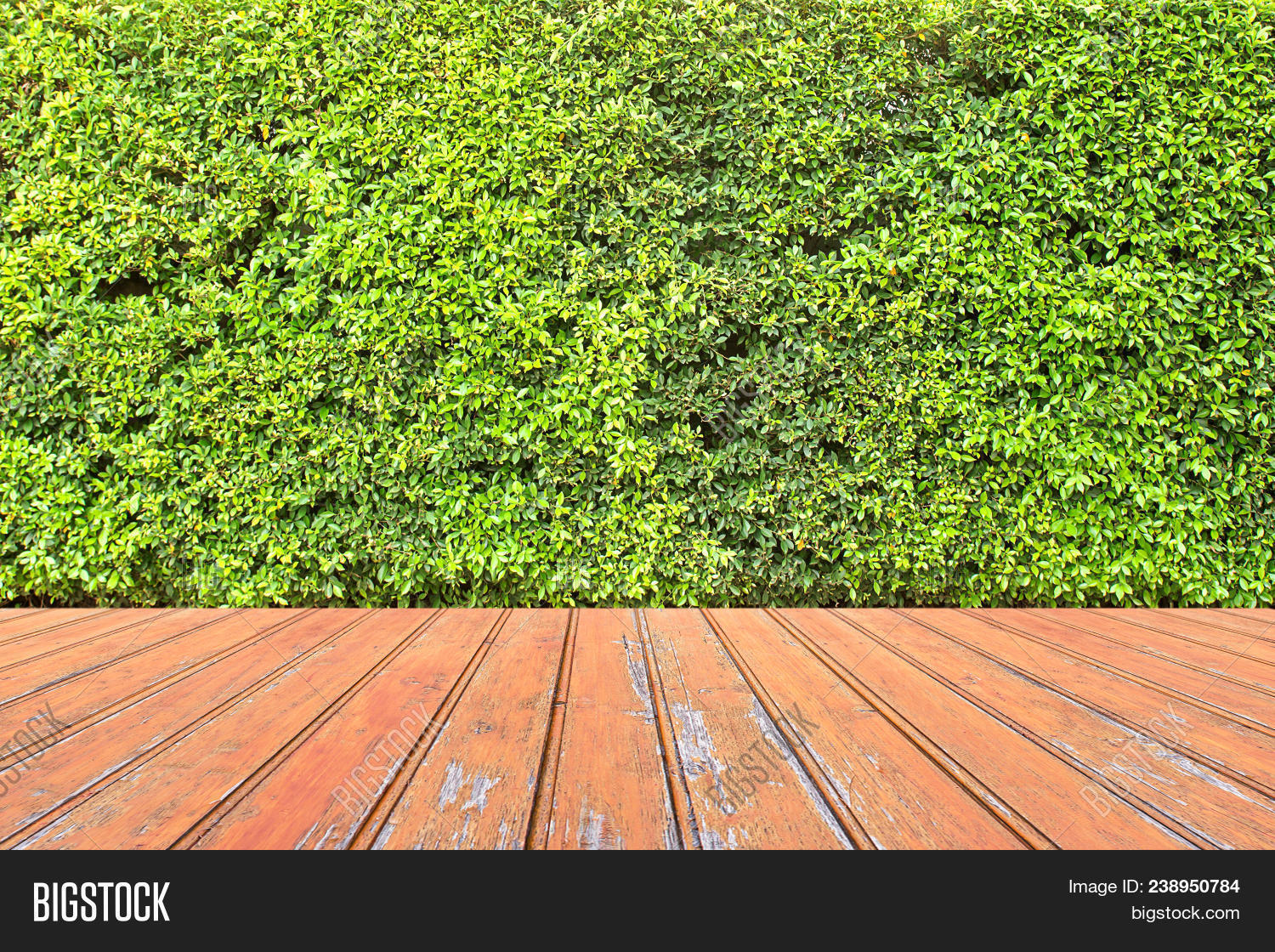 architecture,background,backyard,board,brick,deck,decking,decorative,design,desk,empty,environment,fence,floor,flooring,flower,garden,gardening,granite,grass,green,grey,grunge,house,landscape,lawn,leaf,leave,marble,material,nature,old,outdoor,park,pattern,placement,plank,plant,slate,space,stone,terrace,white,wood