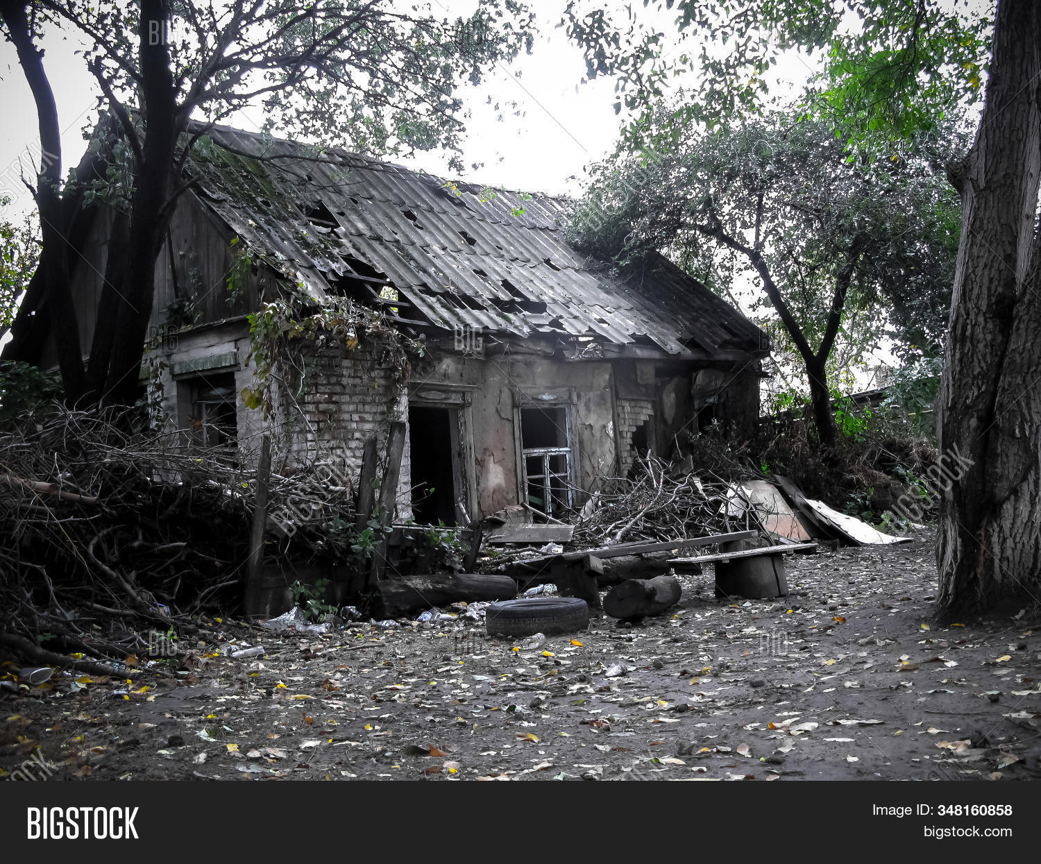 house,old,forest,abandoned,building,architecture,tree,broken,ruined,wood,empty,window,green,background,nature,home,grass,landscape,aged,ruin,rural,deserted,exterior,farm,ancient,country,wooden,antique,wall,cottage,destroyed,vintage,beautiful,outdoor,creepy,desolate,roof,structure,rustic,construction,view,dirty,retro,blue,dark,grunge,decay,shack,No,People