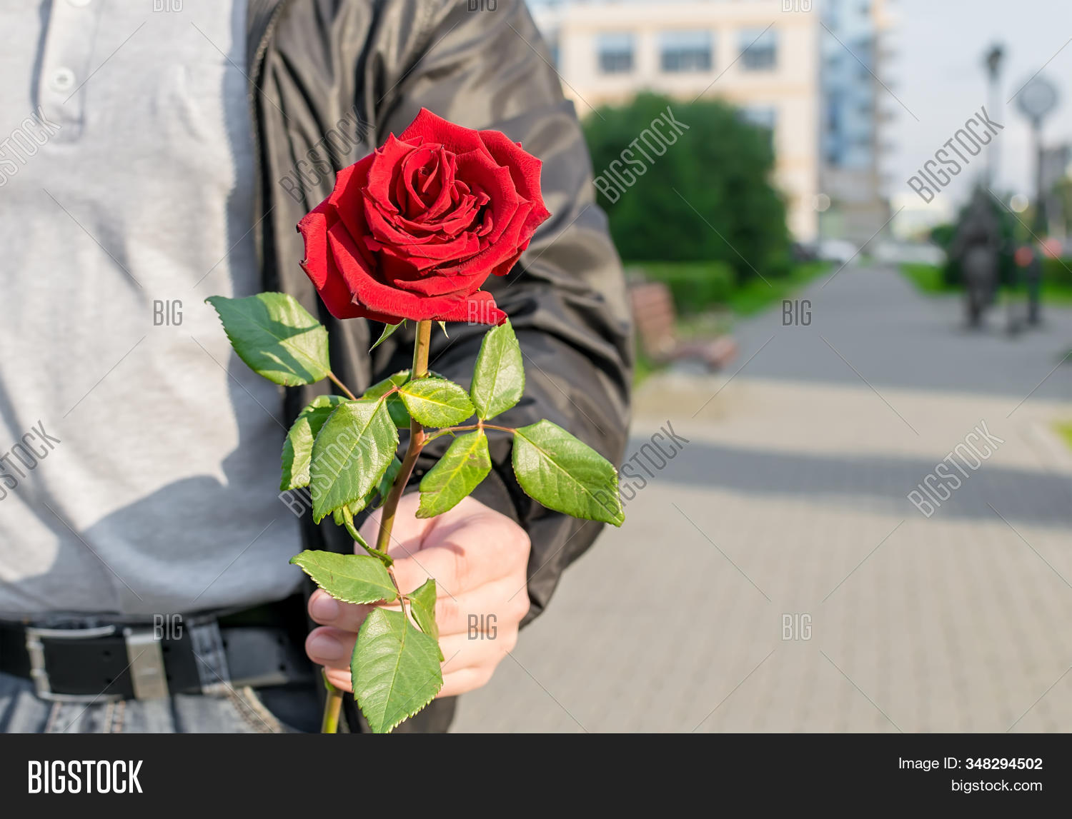 beautiful,make,gift,present,red,rose,surprise,flower,background,romantic,blossom,romance,young,street,city,alley,town,park,girl,valentine,day,emotion,feeling,tryst,chest,torso,hand,bouquet,man,people,love,pink,green,color,holiday,body,parts,unknown,view,stranger,passerby,passer,male,happy,beauty,wedding,celebration,urban,suddenly,unexpectedly
