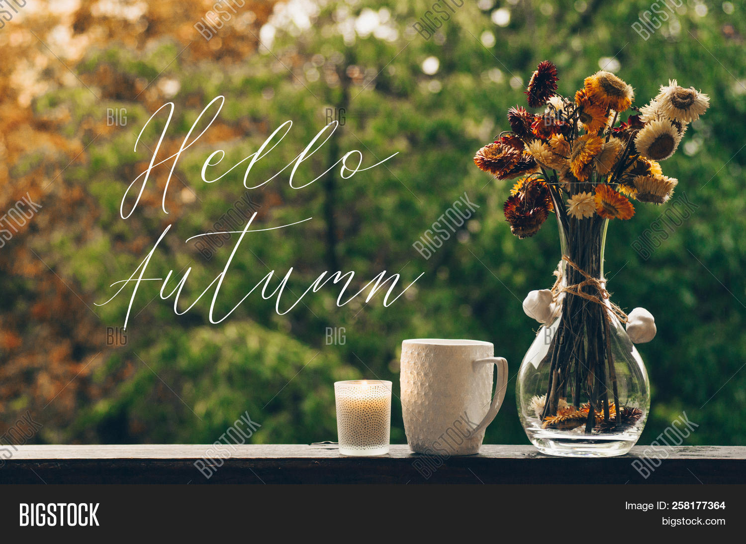autumn,blanket,book,calm,coffee,cold,comfort,cone,copy,cozy,cup,drink,hello,home,hot,house,indoors,interior,life,living,mood,morning,november,october,pine,pumpkin,rain,reading,red,relax,retro,room,rustic,season,september,shabby,sill,space,still,tea,time,view,vintage,warm,weather,weekend,window,windowsill,wood,wooden