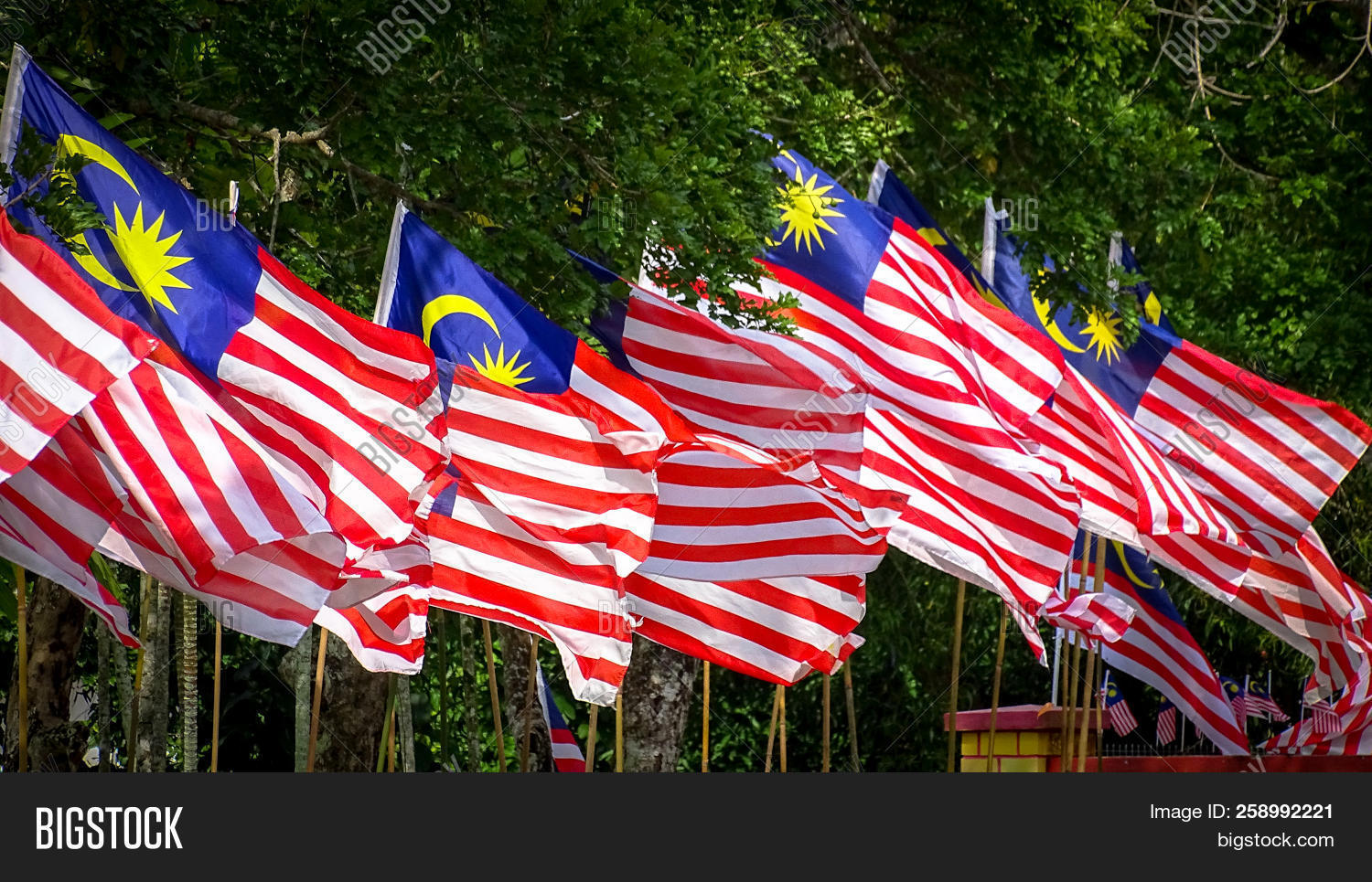 achievement,advertising,asia,asian,blue,celebrate,celebration,colorful,community,concept,country,day,festival,flag,freedom,gemilang,glory,hand,happy,history,independence,independent,jalur,life,malaysia,malaysian,merdeka,nation,national,official,outdoor,patriot,patriotic,patriotism,peace,people,proud,red,shiny,spirit,star,stripes,sunlight,symbol,together,togetherness,unity,victory,wave,white