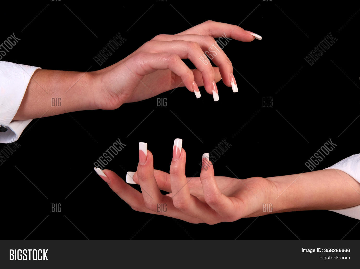 Polished, 																					Hands, 																					Long, 																					Human, 																					French, 																					Design, 																					Hand, 																					Ungual, 																					Overhead, 																					Fashion, 																					Acrylic, 																					Salon, 																					Petal, 																					Nails, 																					Beauty, 																					Hold, 																					Nail, 																					Aviatrix, 																					Elegance, 																					Manicure, 																					Beautiful, 																					Flower, 																					Glamour, 																					Cosmetics, 																					Holding, 																					Petals, 																					Tips, 																					Fingernail, 																					Lacquer, 																					Bright, 																					Sensual, 																					Fresh, 																					Hygiene, 																					Skincare, 																					Delicate, 																					Finger, 																					Skin, 																					Soft