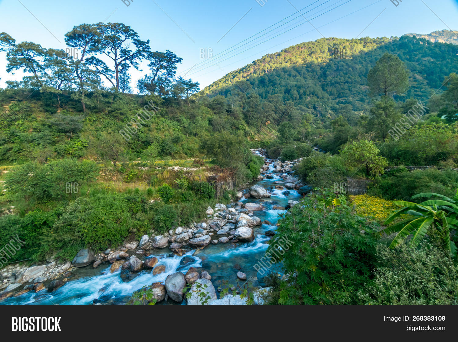 autumn,background,barley,beautiful,breathtaking,cloud,countryside,day,dehradun,environment,farm,farming,field,forest,garhwal,grass,green,hill,himalaya,himalayan,landscape,light,meadow,morning,mountains,mussoorie,natural,nature,orange,outdoor,pantwari,park,pasture,plant,scenery,scenic,sky,sun,sunlight,sunny,sunrise,sunshine,tourism,travel,uttaranchal,uttrakhand,uttranchal,vacation,valley,view