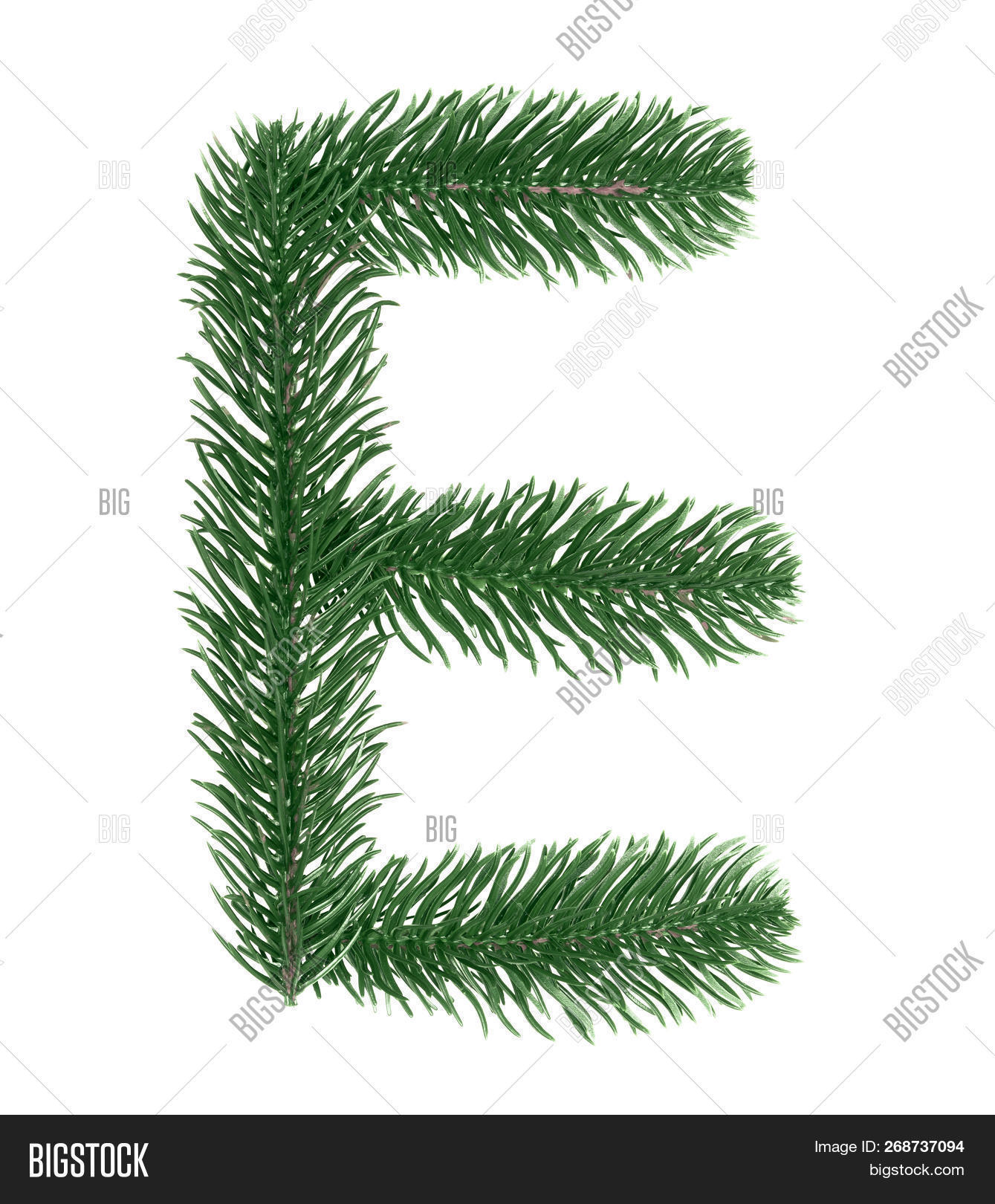 2019,abc,alphabet,background,branch,celebration,christmas,close,composition,copy,december,decoration,design,element,fir,firtree,font,green,greenery,holiday,isolated,language,leaves,letter,merry,nature,needles,new,patterns,pine,plant,season,shape,spruce,symbol,text,texture,traditional,tree,twig,voiced,vowels,white,winter,word,write,xmas,year