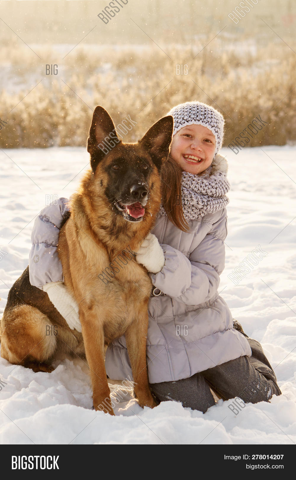 adolescence,animal,beautiful,brown,cheerful,child,childhood,christmas,cold,cute,deutscher,dog,doggy,domestic,face,female,friend,friendship,frost,fun,funny,fur,german,girl,hound,hugs,ice,kid,mammal,natural,nature,outdoor,outside,people,pet,play,playful,sheep-dog,sheepdog,shepherd,snow,sport,sun,teenager,walking,weather,winter,wolf-dog,woman