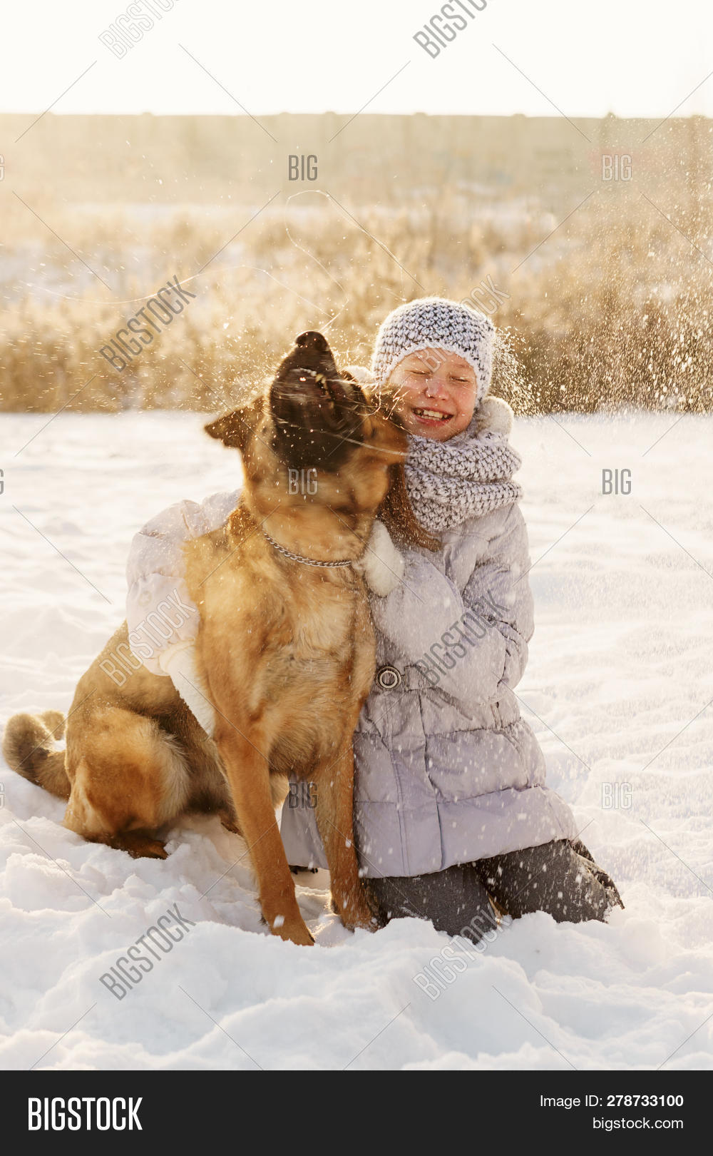 adolescence,animal,beautiful,brown,cheerful,child,childhood,christmas,cold,cute,deutscher,dog,doggy,domestic,face,female,friend,friendship,frost,fun,funny,fur,german,girl,hound,ice,kid,mammal,natural,nature,outdoor,outside,people,pet,play,playful,shakes,sheep-dog,sheepdog,shepherd,snow,sport,sun,teenager,walking,weather,winter,wolf-dog,woman