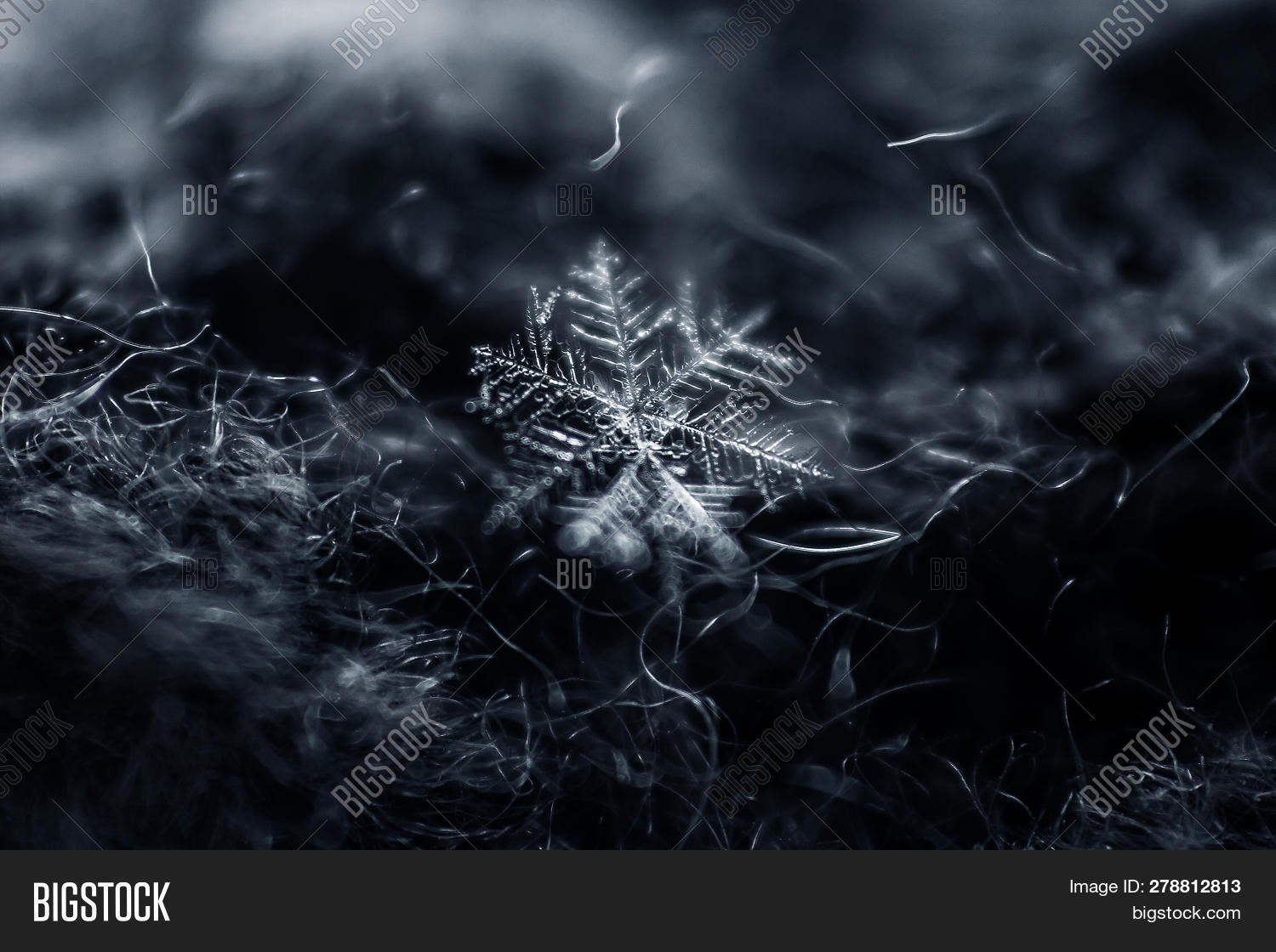 abstract,background,beautiful,blizzard,card,celebration,christmas,close,closeup,cold,cool,crystal,dark,december,design,detail,fall,flake,freeze,frost,frozen,fun,greeting,happy,hobby,holiday,ice,icy,individuality,isolated,january,little,macro,merry,micro,natural,nature,noel,real,season,shiny,small,snow,snowfall,snowflake,up,weather,white,winter,xmas