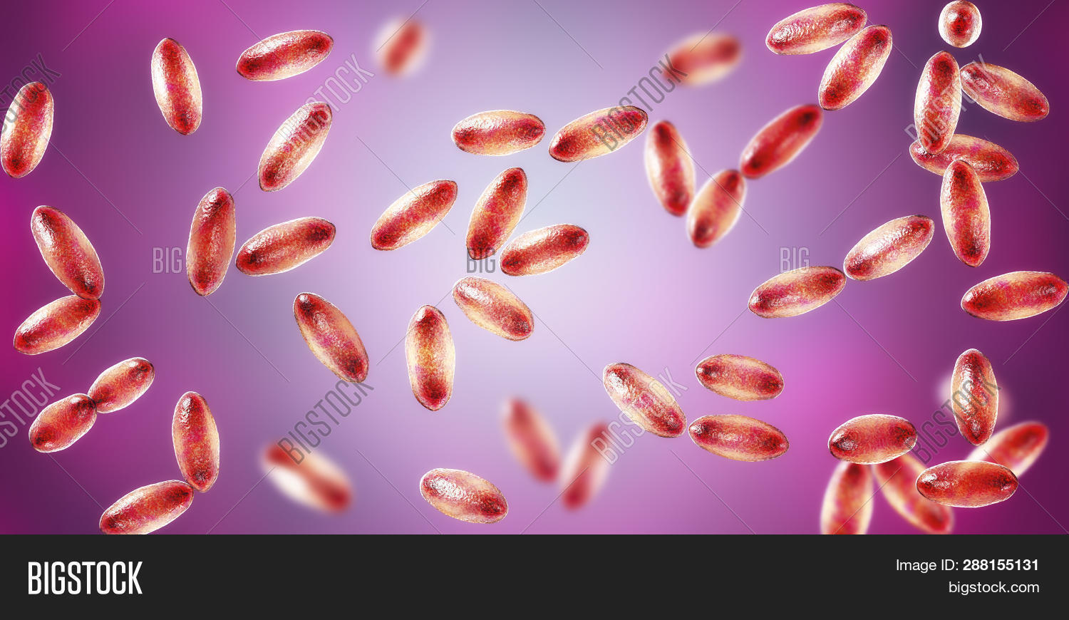 Plague Bacteria Yersinia Pestis, 3d Illustration. Gram-negative ...