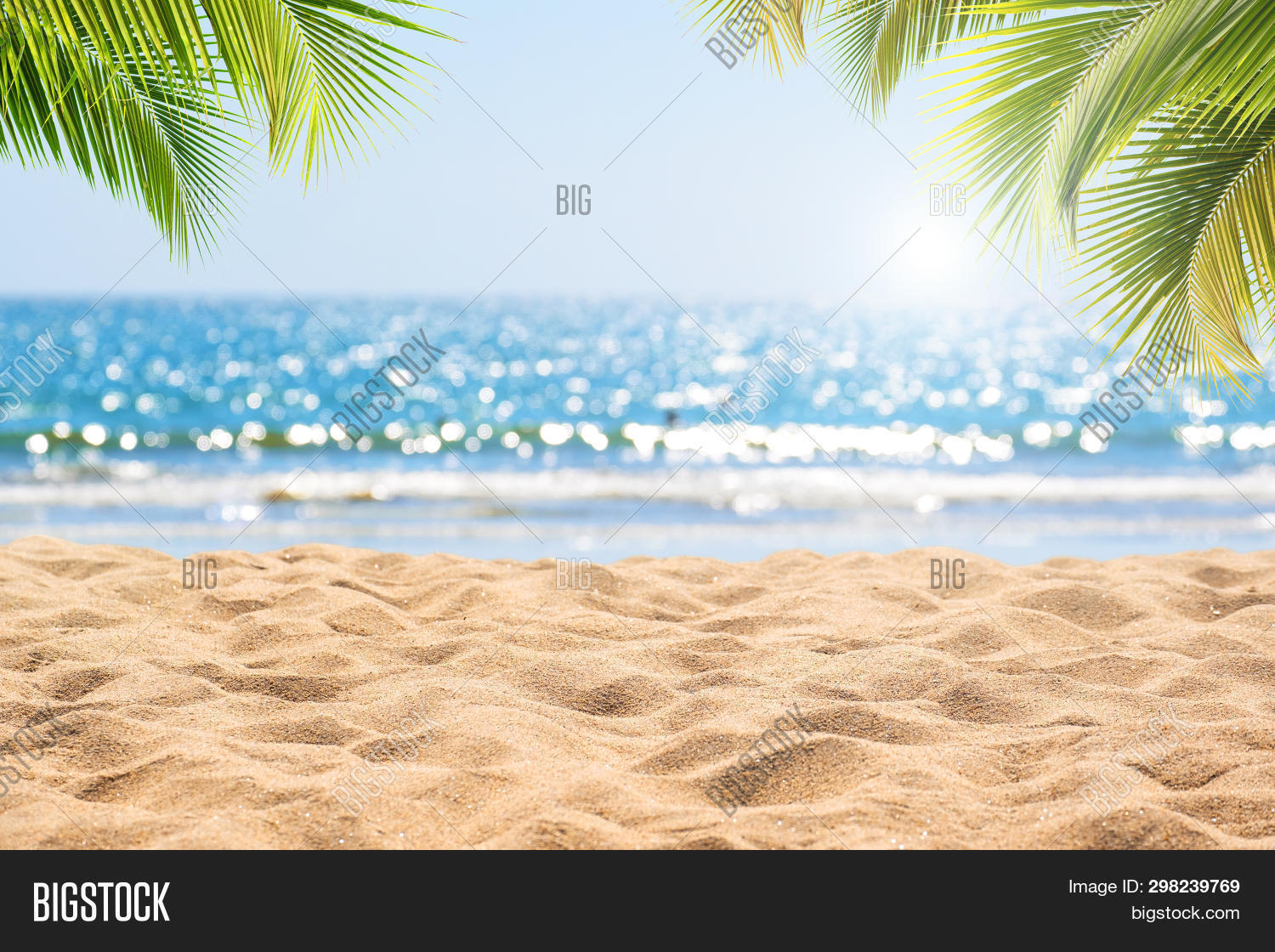abstract,background,beach,blue,blur,blurred,bokeh,calm,coast,coconut,day,defocused,green,holiday,island,landscape,leaf,natural,nature,ocean,palm,relax,resort,sand,sea,seascape,sky,soft,summer,sun,sunlight,sunny,sunshine,texture,travel,tree,tropic,tropical,vacation,water,wave