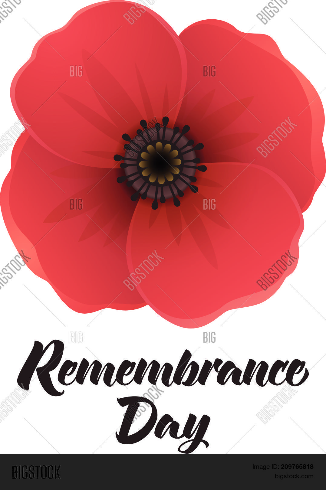 11,anniversary,anzac,armistice,army,australia,background,british,canada,day,design,effect,flanders,flower,force,forget,freedom,front,history,illustration,invitation,last,memorial,memory,military,never,new,november,one,peace,poppy,poster,red,remember,remembrance,respect,sacrifice,soldier,symbol,trench,tribute,veteran,war,web,will,world