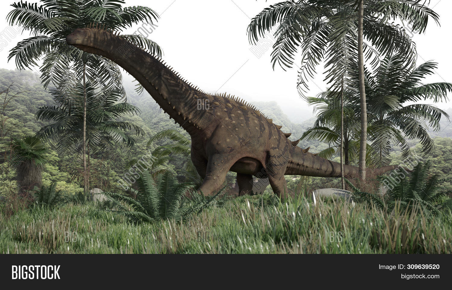 3d,alamosaurus,animal,apatosaurus,art,beast,brachiosaurus,brontosaurus,creature,dinosaur,environment,extinct,fern,forest,giant,green,herbivore,herbivorous,huge,illustration,jungle,jurassic,jurassic age,jurassic coast,large,lizard,natural,nature,outdoor,paleontology,powerful,prehistoric,prehistory,realistic,render,rendering,reptile,sauropod,science,scientific,summer,tree,trees,wild,wild life,wildlife,woods