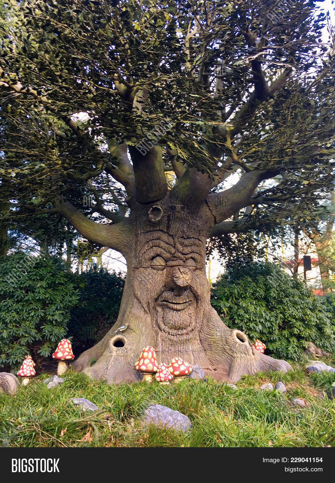 ancient,background,beautiful,character,cute,deforestation,earth,efteling,enchanted,environment,eyes,face,fairy,fairytale,fancy,fantasy,flora,forest,funny,garden,green,happy,landscape,life,magic,magical,mysterious,mystery,mythical,mythology,nature,netherlands,oak,old,outdoor,park,peace,retro,scene,smile,spirit,spring,stem,story,summer,tale,talking,tree,wildlife,wood