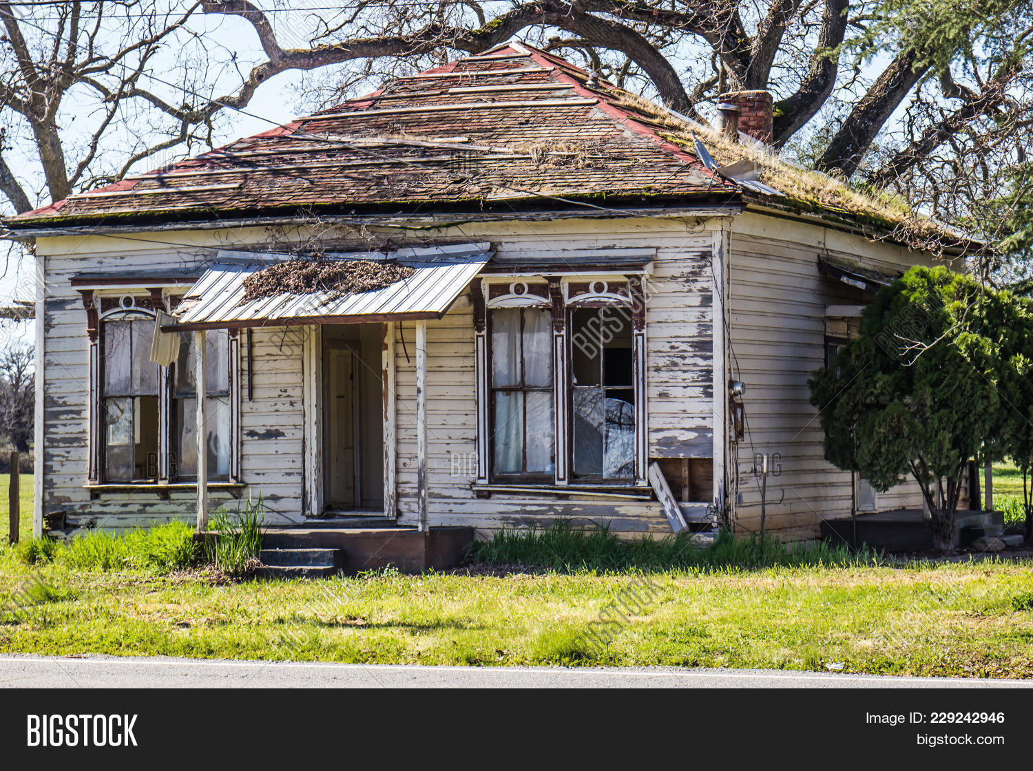 Grass,Vintage,abandoned,awning,blue,branches,building,bushes,coulds,cutouts,disrepair,empty,ground,home,house,limbs,old,open,ornate,paint,peeling,porch,reflection,retro,roof,shingles,siding,sky,small,steps,structure,trees,vacant,weathered,weeds,windows,wooden