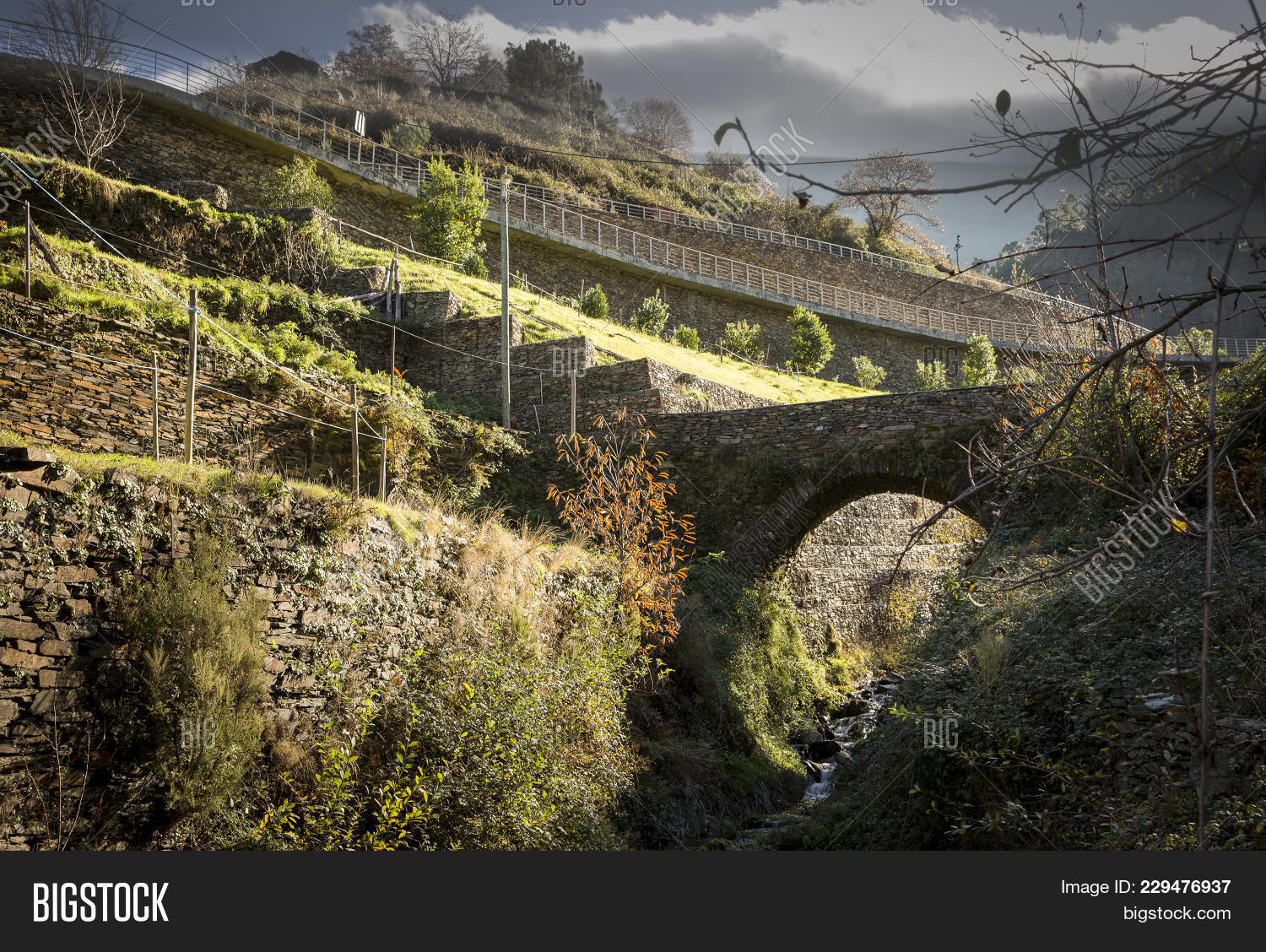 Arganil,Piodao,ancient,architecture,bridge,brook,countryside,creek,earth,environment,forest,green,hill,historic,landscape,nature,rural,schist,slope,stone,vegetation,village,wall,woods