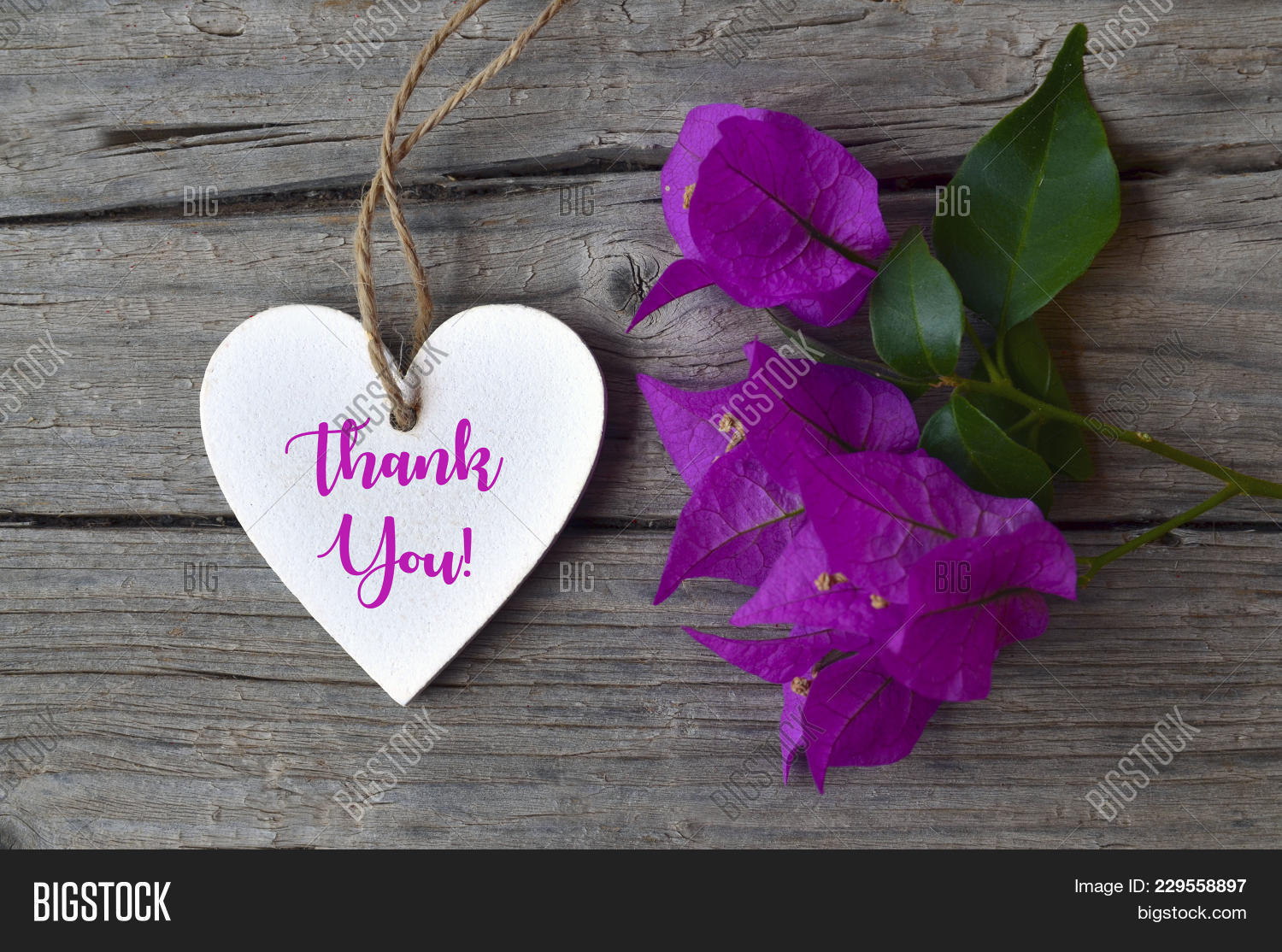 admiration,appreciate,appreciation,background,bloom,blossom,botanical,bougainville,bougainvillea,bright,card,communication,decor,decorated,decoration,event,floral,florist,fresh,freshness,gift,grateful,gratefulness,gratitude,greeting,heart,message,nature,note,old,petal,pink,plant,presents,romantic,rustic,shape,spring,text,thank,thankful,thankfulness,vegetation,vintage,white,wooden,you