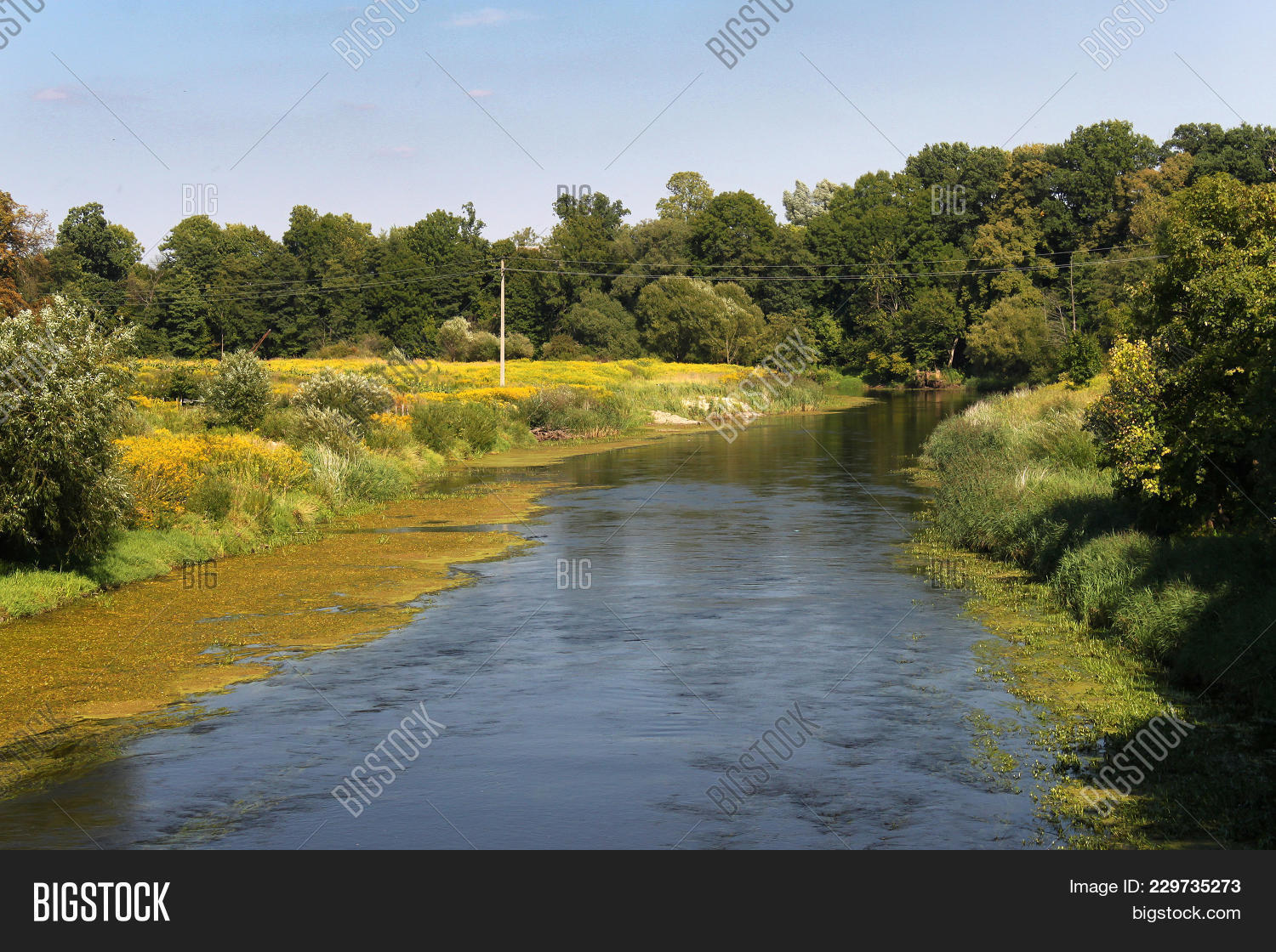 area,beautiful,coast,color,country,day,destination,east,europe,european,friedland,german,gold,grass,green,kaliningrad,landscape,lava,lyna,nature,nobody,oblast,ostpreussen,outdoor,park,place,pravdinsk,preussen,province,provincial,prussia,prussian,region,regional,river,rural,russia,russian,rustic,scene,scenic,sky,small,summer,tourism,touristic,travel,view,water,yellow