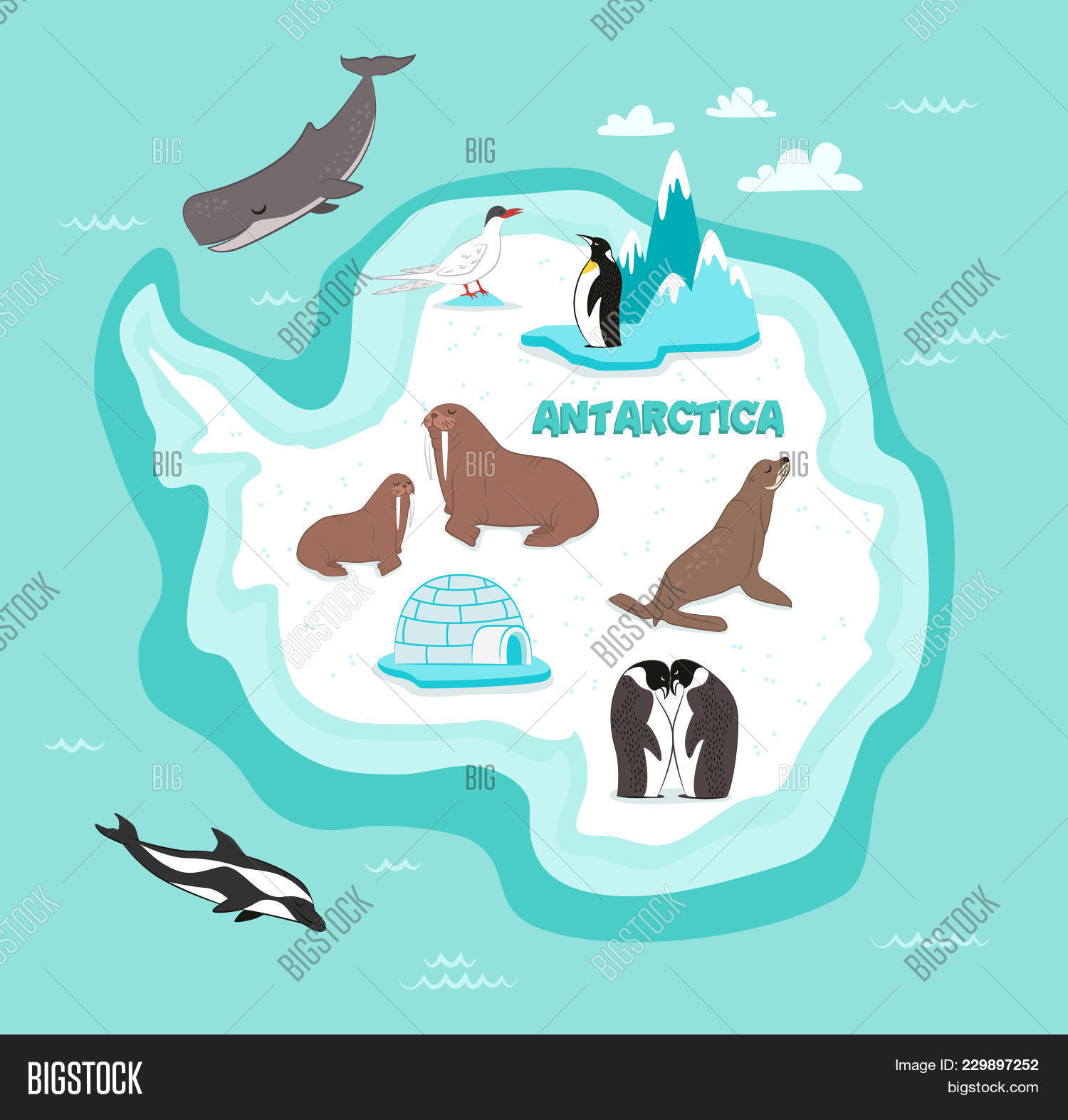 animal,antarctic,art,background,banner,blue,cachalot,cartoon,cold,collection,colorful,continent,cute,decoration,decorative,design,different,dolphin,drawing,element,emperor,fauna,frost,ice,iceberg,icehouse,igloo,illustration,mammal,map,natural,nature,ocean,penguin,plant,seal,set,snow,snowbound,sperm,style,symbol,walrus,whale,wild,wildlife,zoo