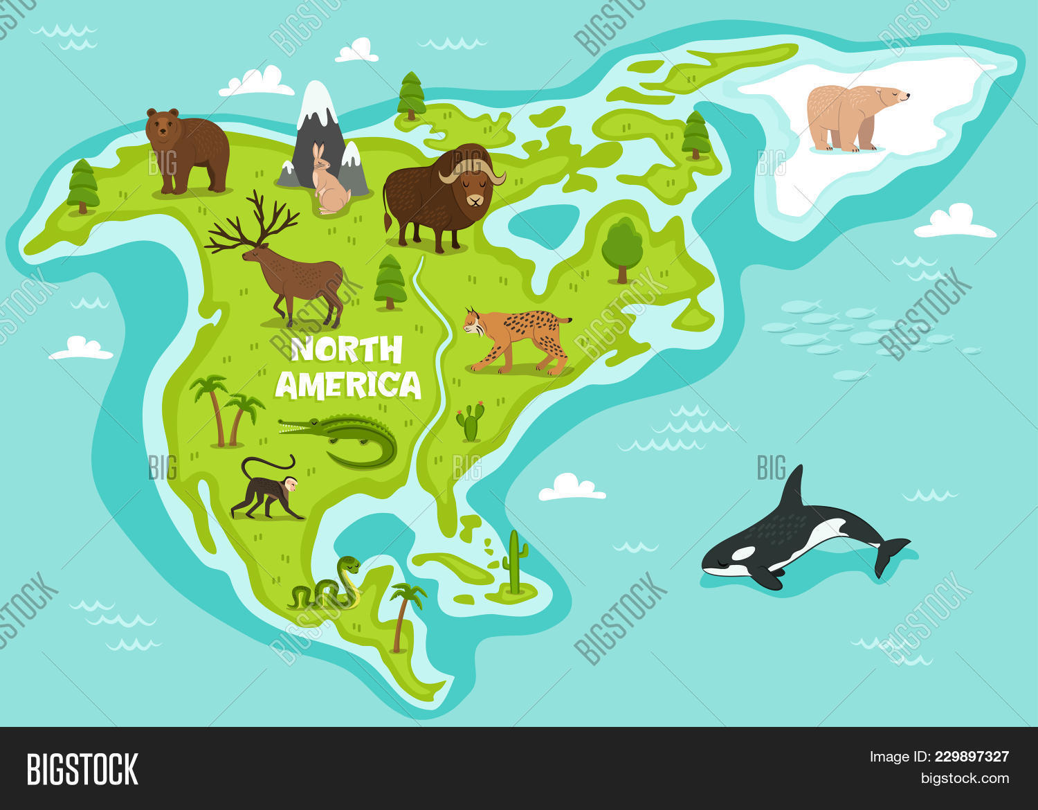alligator,america,american,animal,art,background,banner,bear,bison,blue,cactus,cartoon,collection,colorful,continent,cute,decoration,decorative,deer,design,different,drawing,element,fauna,flora,forest,illustration,lynx,mammal,map,monkey,mountain,natural,nature,north,ocean,palm,plant,rabbit,set,snake,style,symbol,tree,whale,wild,wildlife,woodland,zoo