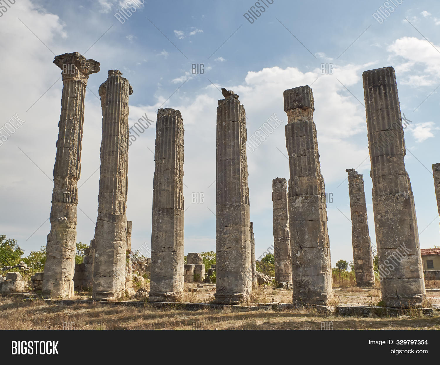 Corynthian Columns Of Zeus Olbios Temple, Ancient Anatolian