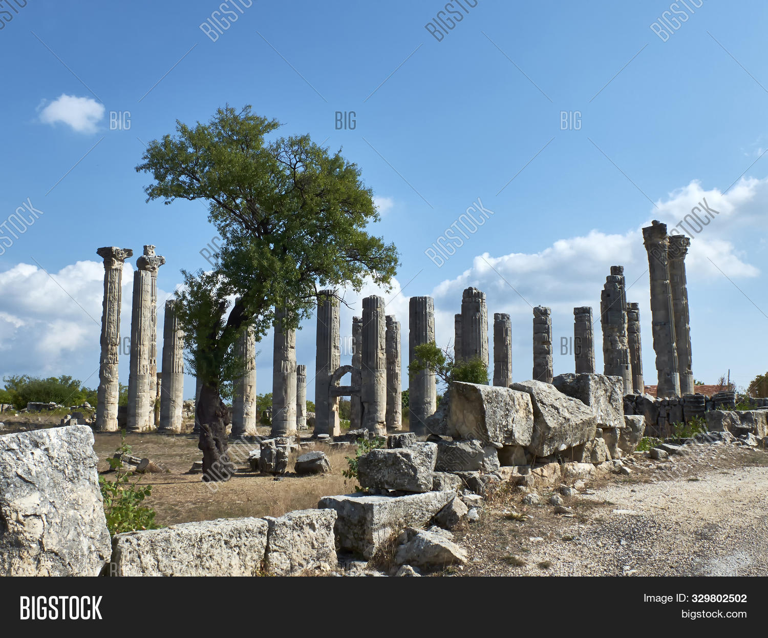 Corinthian Columns Of Zeus Olbios Temple, Ancient Anatolian