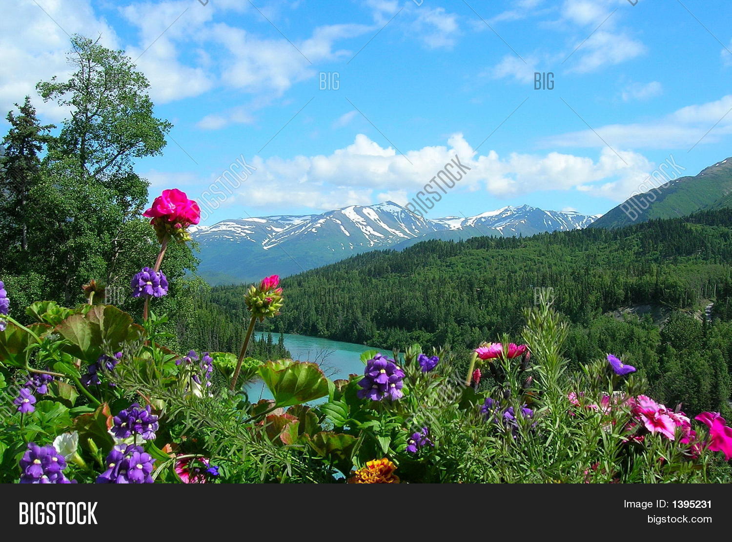 alaska,beautiful,beauty,blooms,blue,bright,brilliant,cloud,environment,flowers,glacier,globalwarming,gorgeous,greenery,growing,ice,icy,light,nature,pink,pink flowers,pretty,river,scenery,scenic,sky,snow,snowcap,stunning,sunlight,vibrant,view