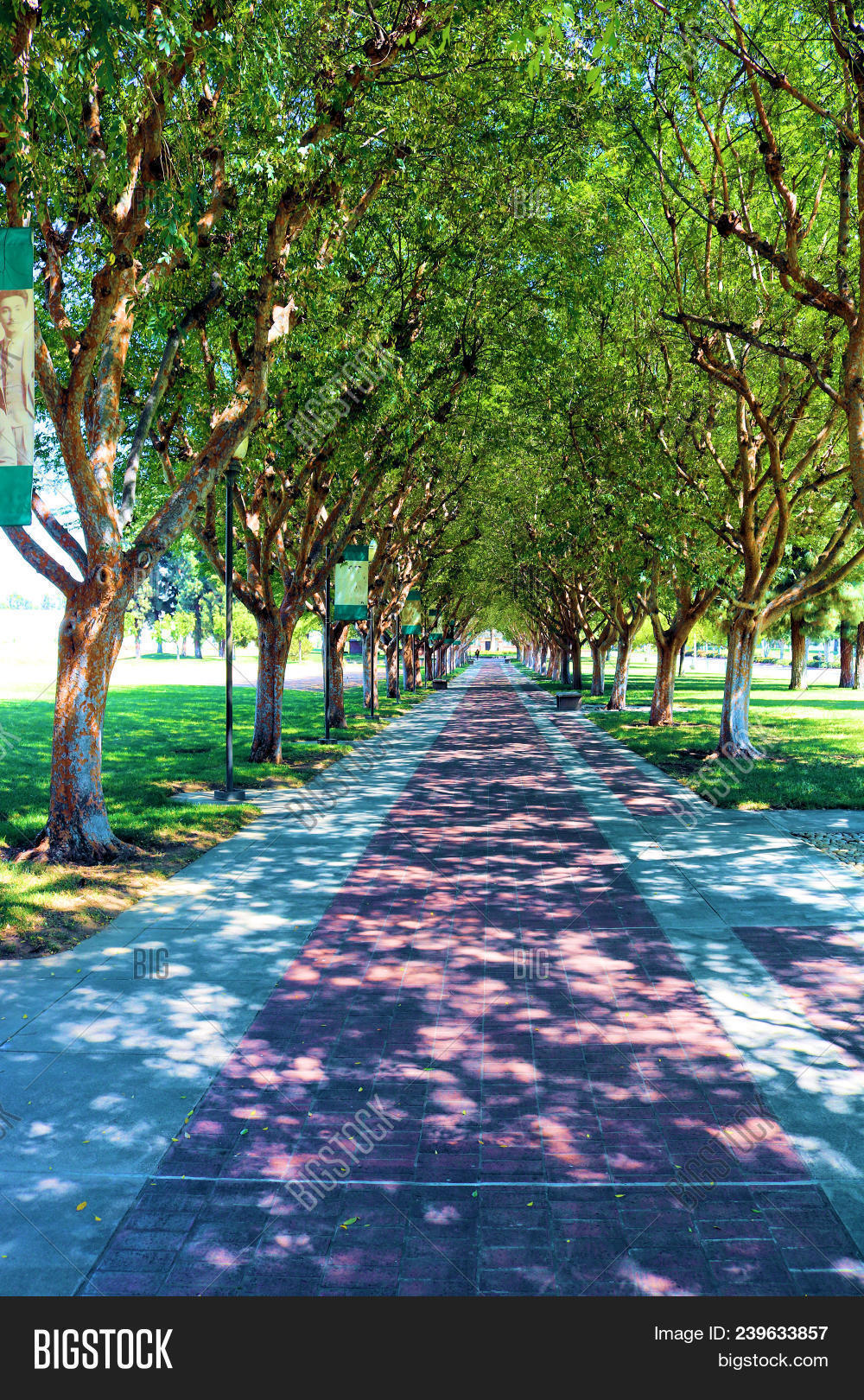 architectural,architecture,botanical,botany,canopy,city,cityscape,community,countryside,deciduous,design,destination,escape,exterior,garden,gardening,green,hike,hiking,jog,journey,landscape,landscaping,leisure,lush,natural,nature,neighborhood,park,path,pathway,pedestrian,place,plant,property,recreation,retreat,rural,shrub,style,terrain,town,trail,travel,tree,urban,walk,walkway,wilderness,yard