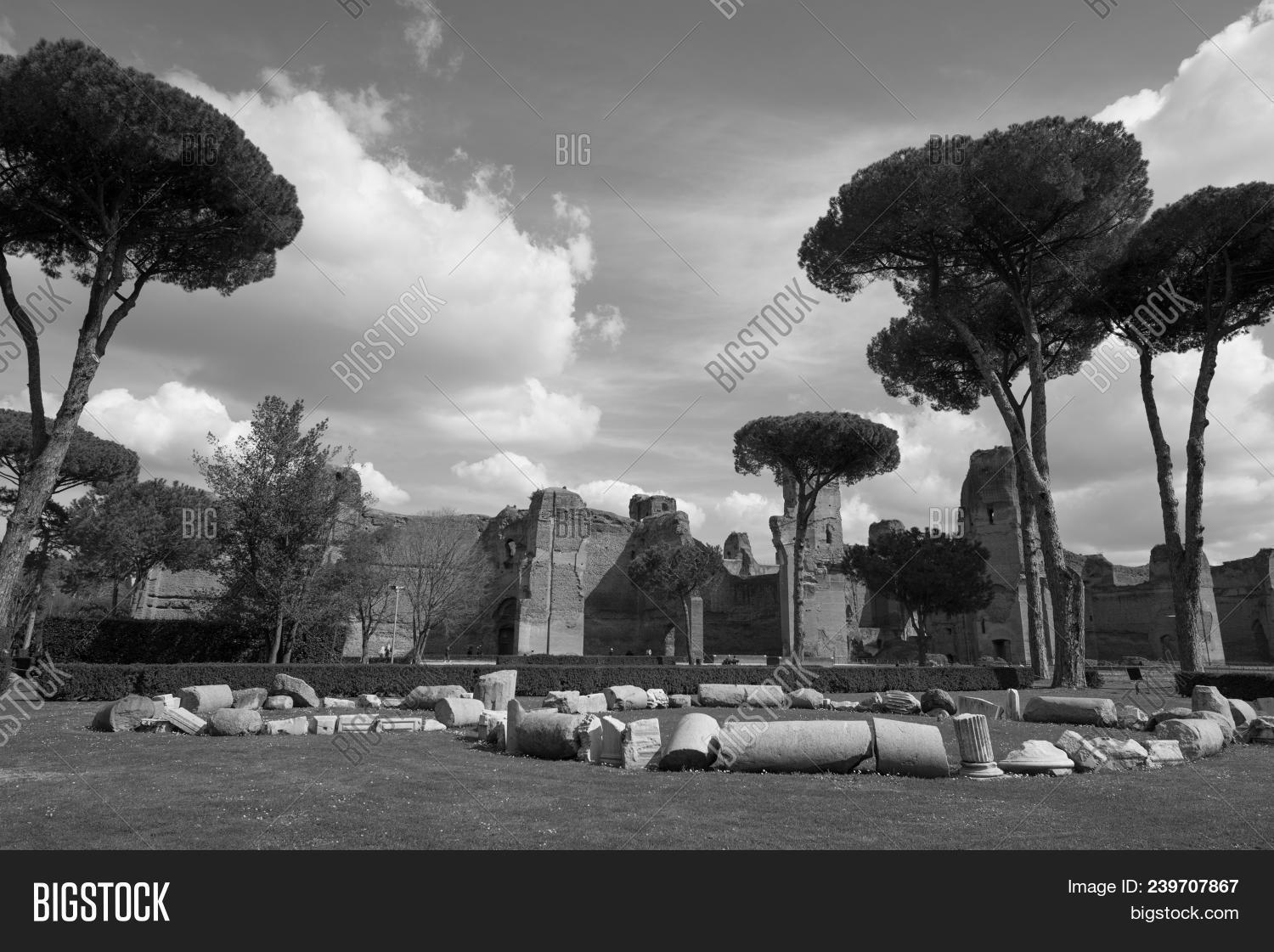 ancient,antique,arch,archade,archeology,architecture,attraction,bath,blue,bricks,building,caracalla,clouds,day,decoration,destination,empire,europe,fence,flowers,grass,heritage,historic,historical,history,huge,italian,italy,landmark,landscape,old,outdoor,park,roma,roman,rome,ruins,sightseeing,stone,structure,sunny,terme,thermae,tour,tourism,trees,wall