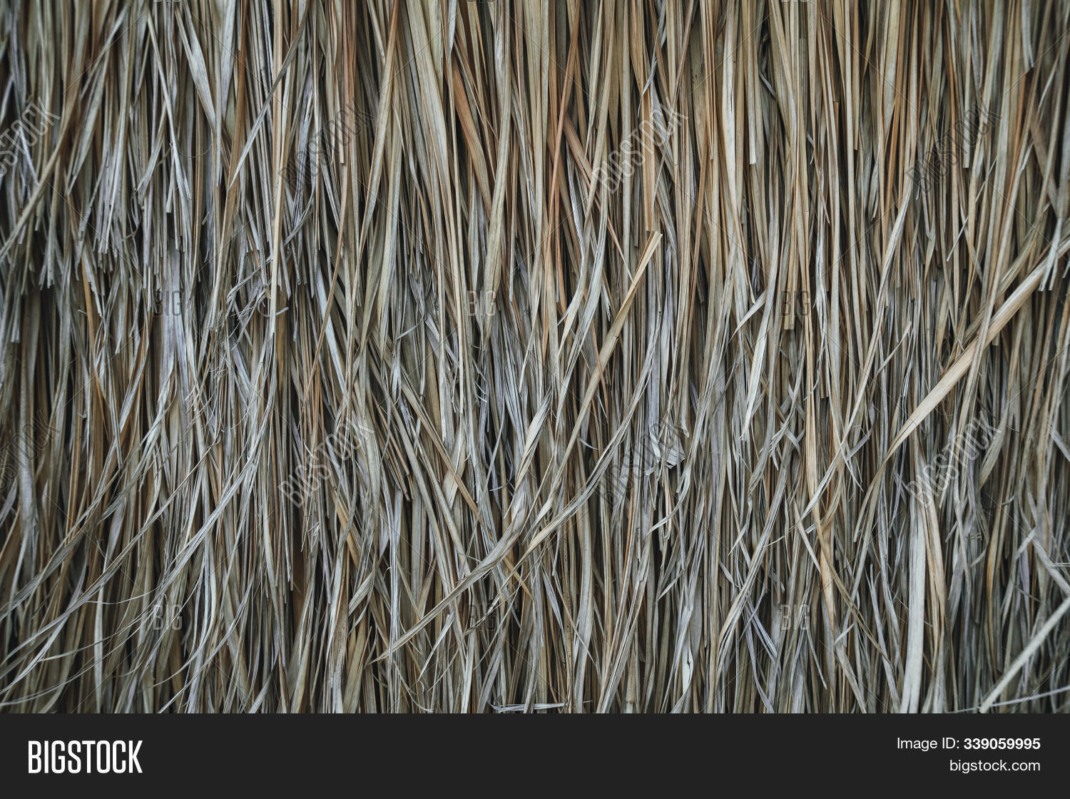 abstract,aged,ancient,architecture,backdrop,background,brown,closeup,construction,decoration,design,detail,dry,exotic,golden,grass,grunge,hay,haystack,house,hut,leaf,material,natural,nature,old,palm,pattern,plant,primitive,reed,roof,roofing,rural,straw,summer,texture,textured,thatch,thatched,traditional,tropical,vintage,wall,wallpaper,warm,wood,wooden,yellow