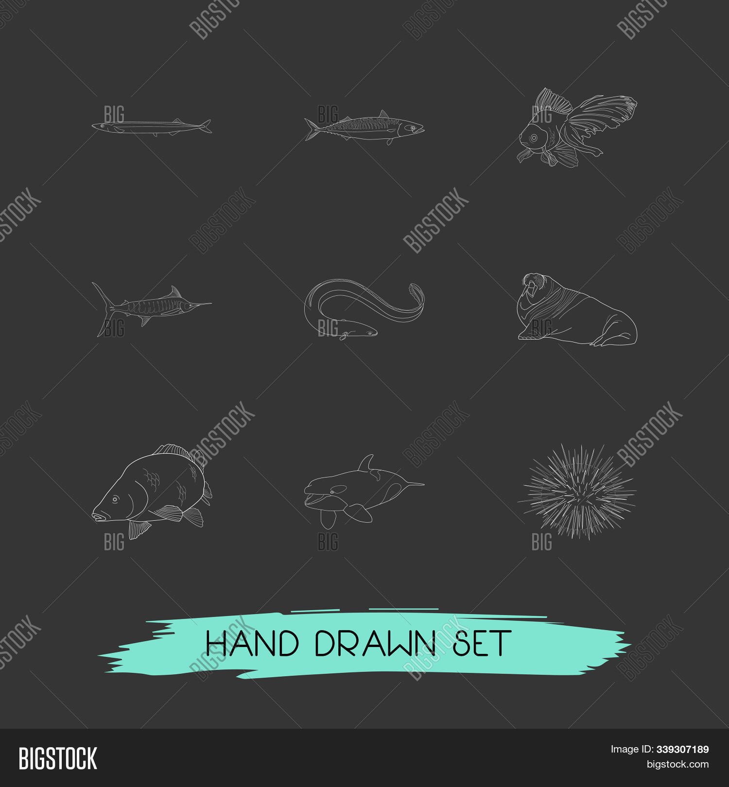 animal,aqua,aquatic,beautiful,big,broadbill,collection,contour,crucian,design,eel,fauna,fin,fish,fishing,food,fresh,icon,killer,life,line,mackerel,mammal,marine,marlin,natural,nature,nutrition,ocean,outline,porcupine,raw,saury,sea,seacow,seafood,set,smelt,swimming,swordfish,tail,undersea,underwater,urchin,walrus,water,web,wildlife