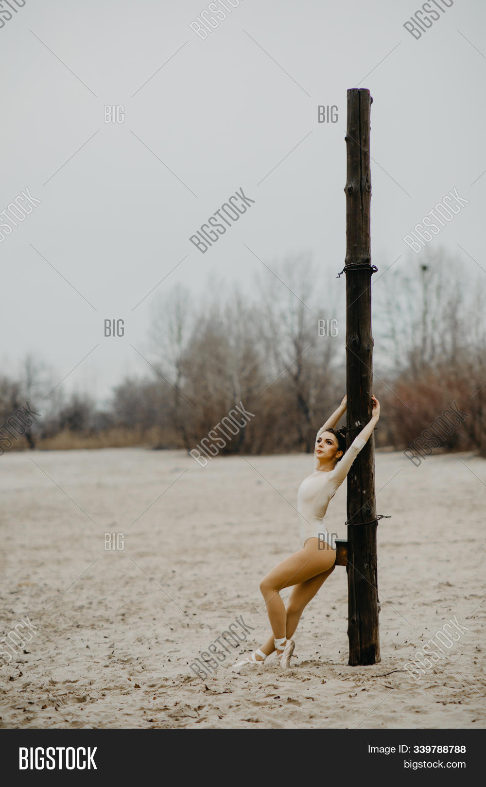 action,active,adult,artist,attractive,autumn,background,ballerina,ballet,beach,beautiful,beauty,body,brunette,caucasian,classical,cloudy,column,dance,dancer,day,elegance,elegant,female,flexibility,girl,gymnastics,leotard,lifestyle,model,nature,one,outdoor,people,performance,performer,person,pillar,pointe,pole,pose,sand,sensuality,shoes,sky,tree,winter,woman,wooden,young