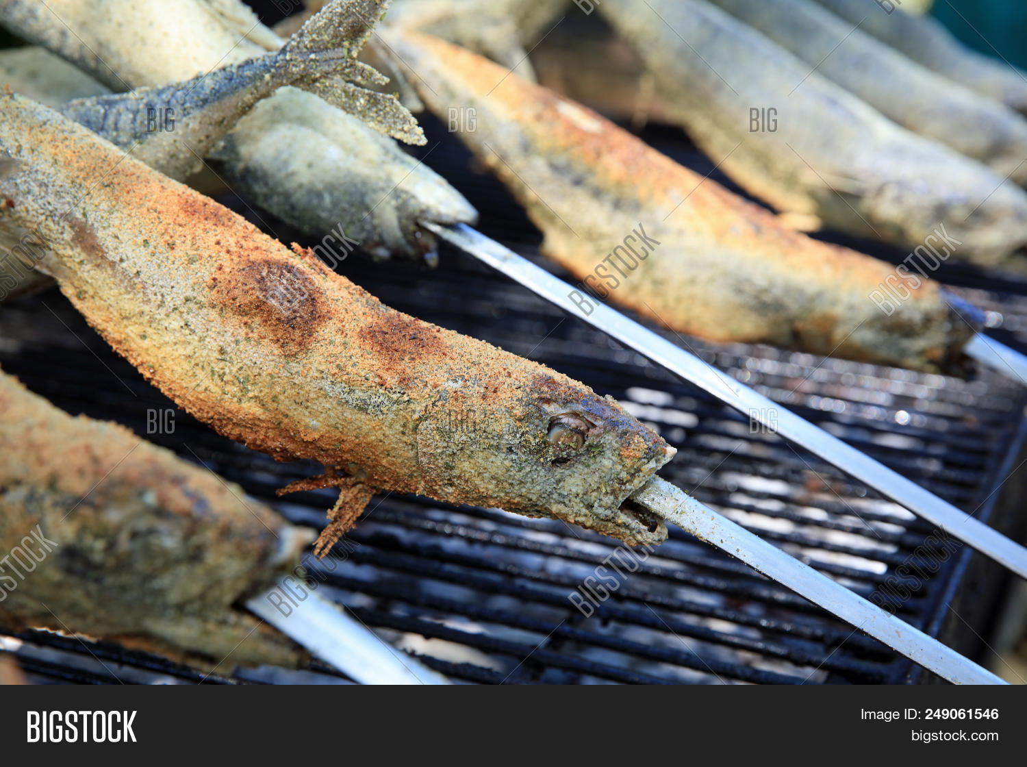 Animal,Barbecue,Cooking,Culture,Cultures,Dinner,Eating,Europe,Fin,Fish,Food,Fried,German,Germany,Gourmet,Grill,Grilled,Healthy,Mackerel,Meal,Photography,Preparation,Refreshment,Roasted,Seafood,Skewer,Spit,State,Steckerlfisch,Stick,Tail