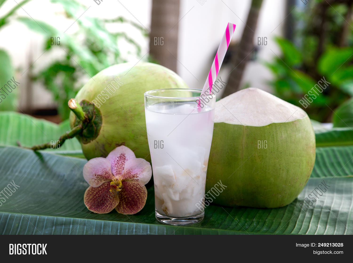 asian,background,beach,beautiful,beverage,blue,closeup,cocktail,coco,coconut,diet,drink,drinking,exotic,flower,food,fresh,freshness,fruit,glass,green,health,healthy,holiday,island,juice,landscape,natural,nature,ocean,organic,outdoor,palm,pool,sand,sea,sky,straw,summer,sweet,table,tasty,thailand,travel,tree,tropical,vacation,water,white,young