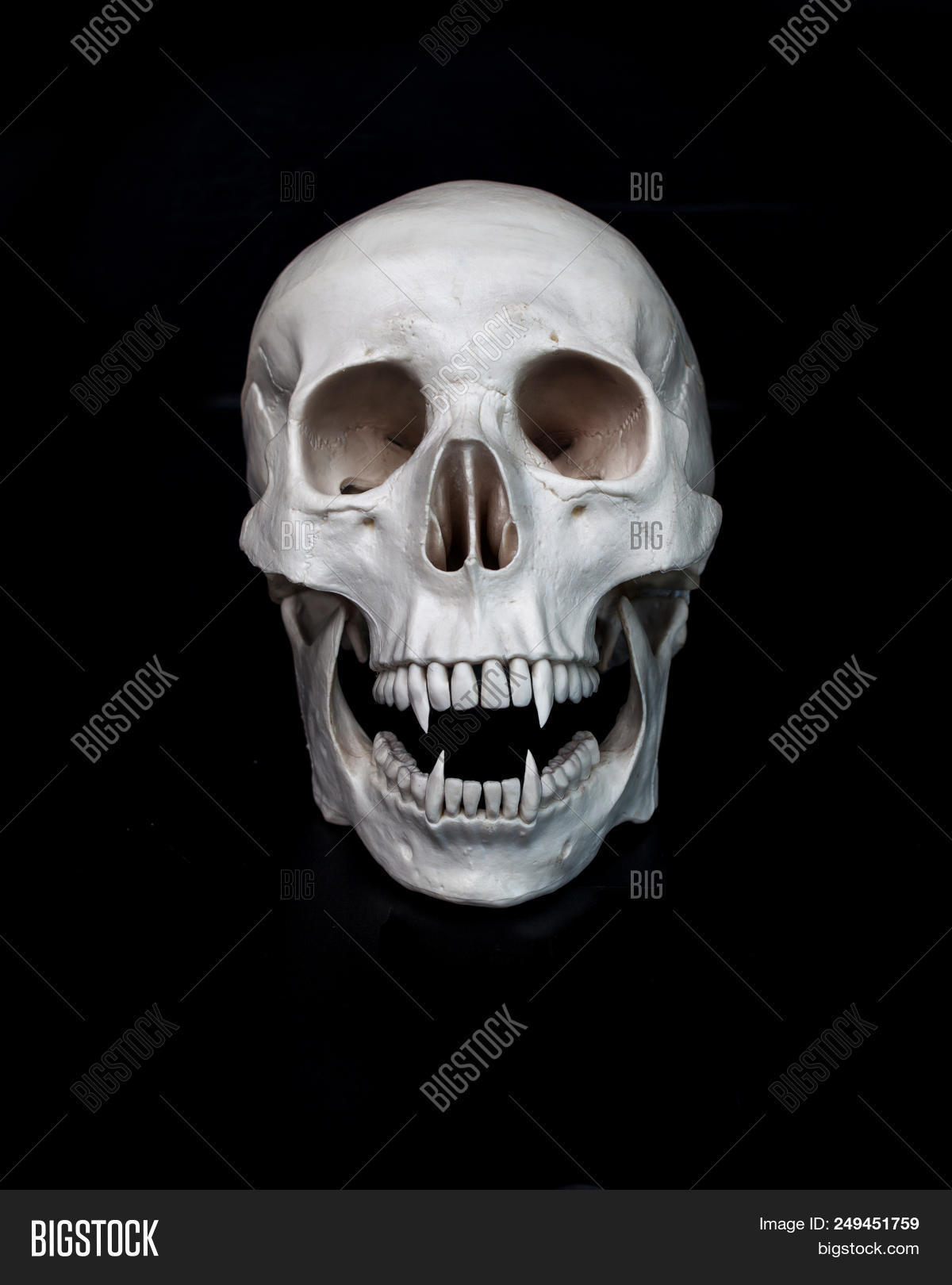 Gothic,Laugh,Screaming,black,bloodsucker,bones,cranium,creep,dark,darkness,dead,deadling,death,demonic,evil,fangs,fantasy,fear,fiction,genre,gloom,halloween,horror,human,jaw,laughing,magic,man,mouth,murk,music,mysticism,necromancer,necromancy,obscurity,omerta,open,party,rock,scared,scary,skeleton,skull,spooky,tale,teeth,vampire,villain