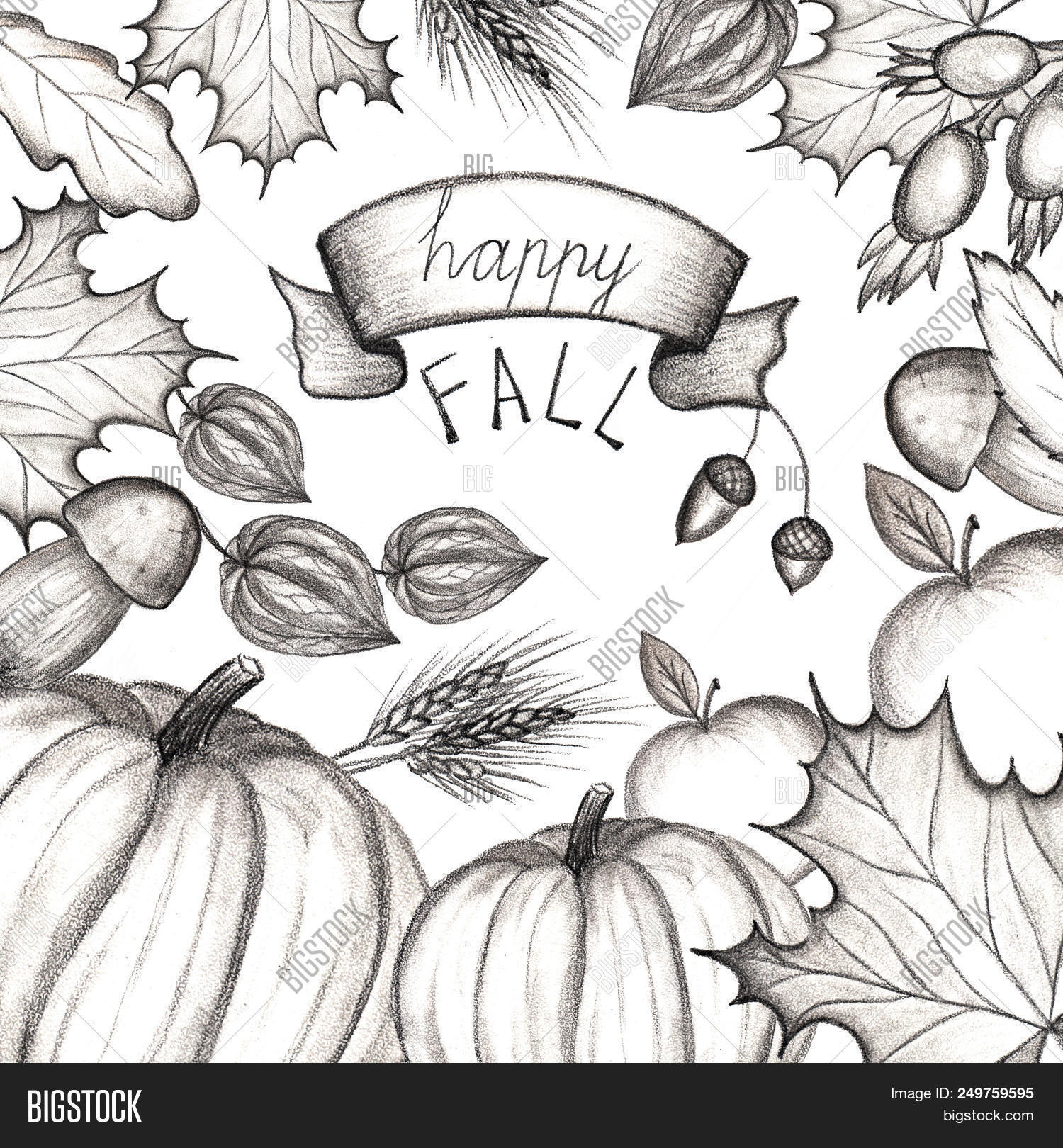 Drawing,Handdrawing,Happy,Pumpkin,acorns,agriculture,apple,autumn,collection,concept,fall,farm,farming,fizalis,food,forest,fruits,harvest,harvesting,holiday,leaves,maple,mushroom,nature,oak,ribbon,signboard,text,trees,wheat