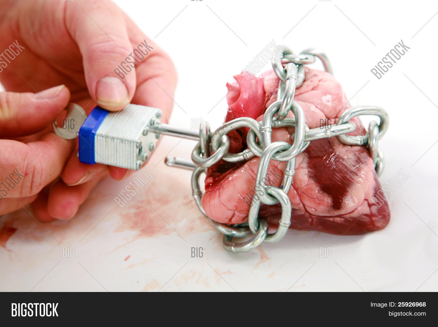 admire,adore,art,beautiful,belief,bondage,celebrate,chain,chained,darling,design,desire,emotion,gift,hearing loss,heart,impossible,isolated,isolated on white,key,lock,love,lust,man,marriage,metal,obstacle,open,padlock,passion,prison,protect,red,romance,romantic,secret,secure,shut,sweet,symbol,tender,theme,tight,unchain,unchain my hear,unlock my heart,unlocks,valentine,valentines day,white,wish