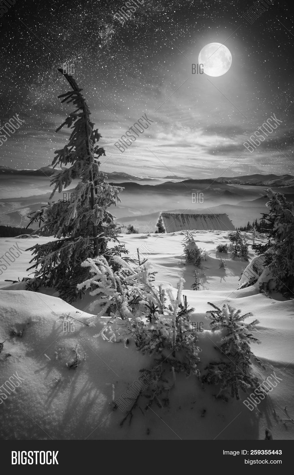 asterism,astro,astronomy,atmosphere,black,bright,christmas,cluster,constellation,evening,fairy,fairytale,full,galaxy,glitter,hill,home,house,milky,milkyway,monochrome,moon,moonlight,mountain,nature,night,observe,shimmer,shine,snow,space,sparkle,spruce,star,starlight,starry,structure,tiny,trail,travel,tree,twinkle,valley,village,white,winter